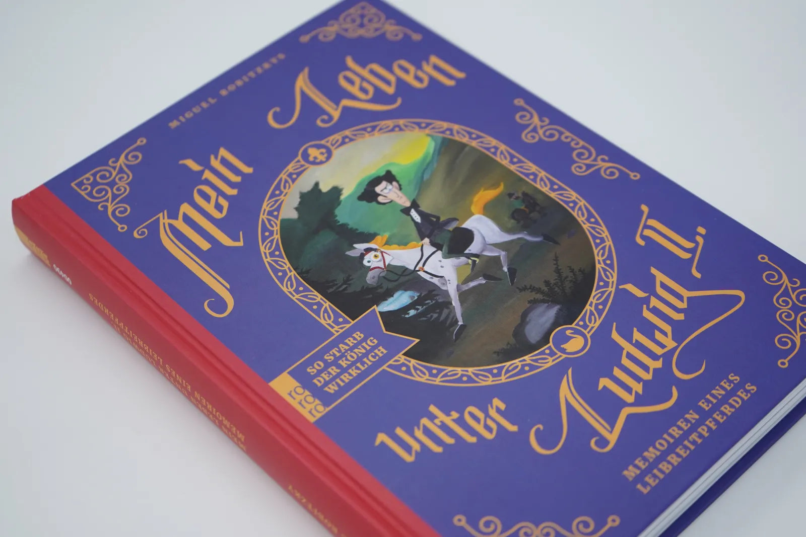 Produktansicht: Mein Leben unter Ludwig II. (Gebundene Ausgabe)