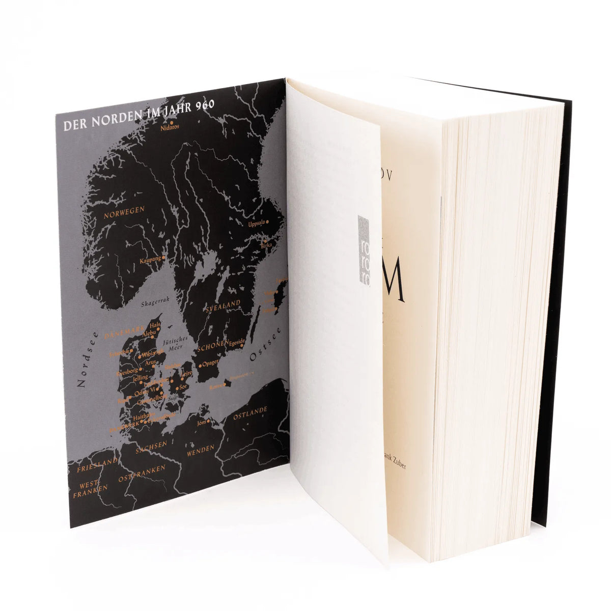 Detailansicht: Millennium Kingdom: Die Feuerprobe (Taschenbuch)