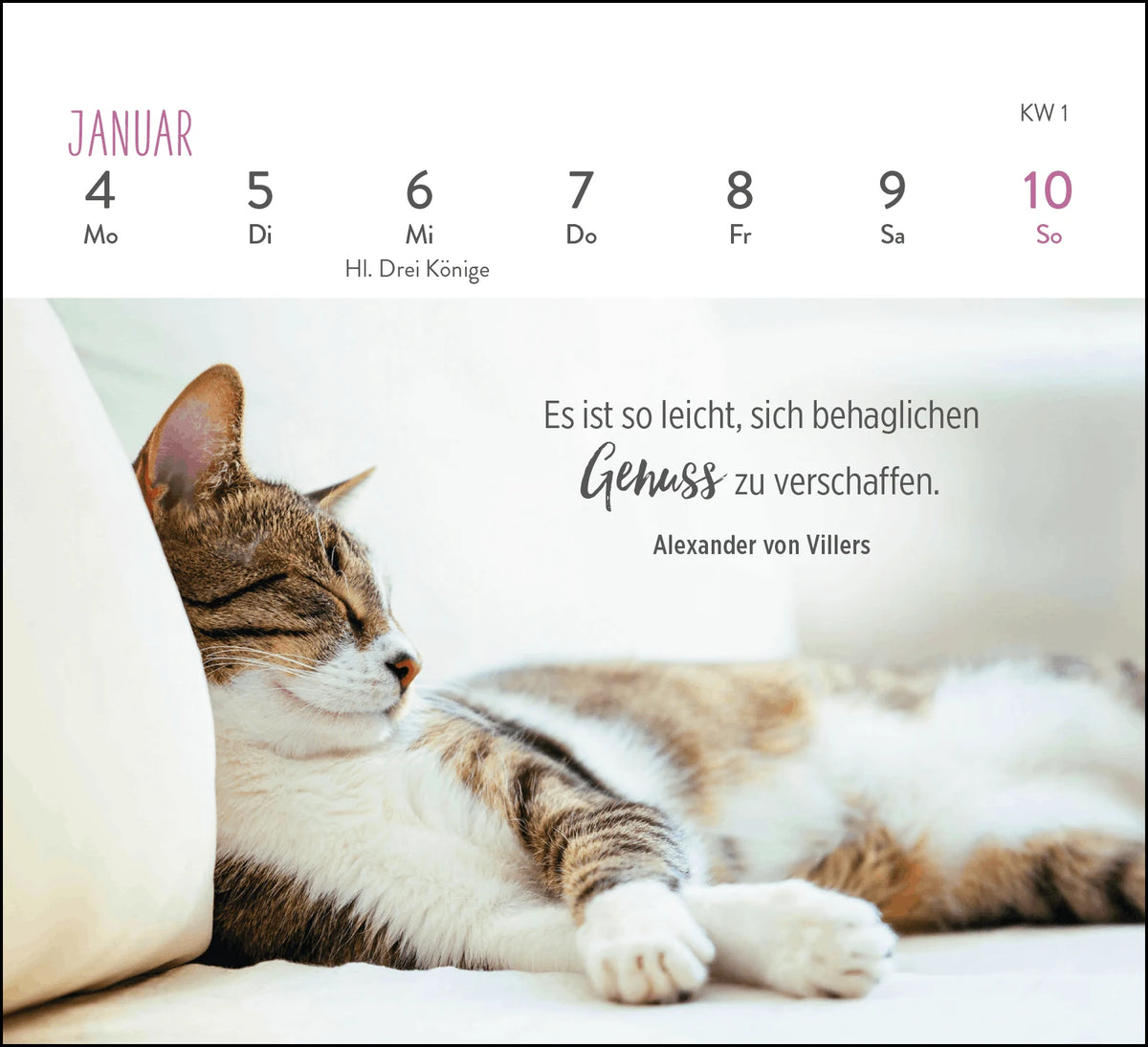 Mini-Wochenkalender 2027: Für Katzenfreunde – Ansicht