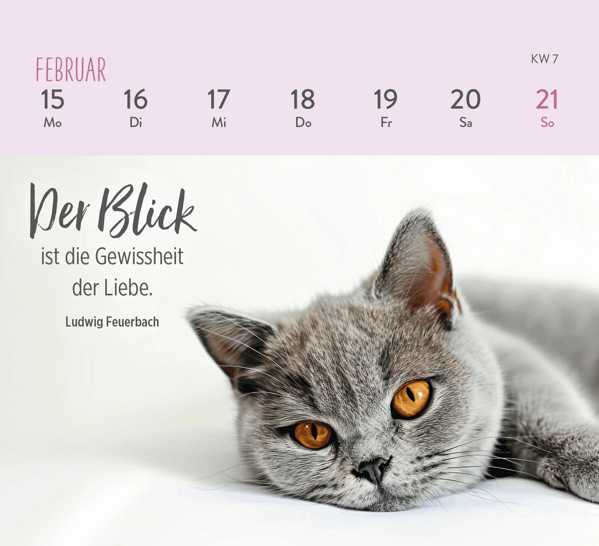 Mini-Wochenkalender 2027: Für Katzenfreunde – Ansicht