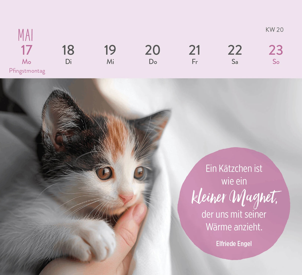 Mini-Wochenkalender 2027: Für Katzenfreunde – Ansicht
