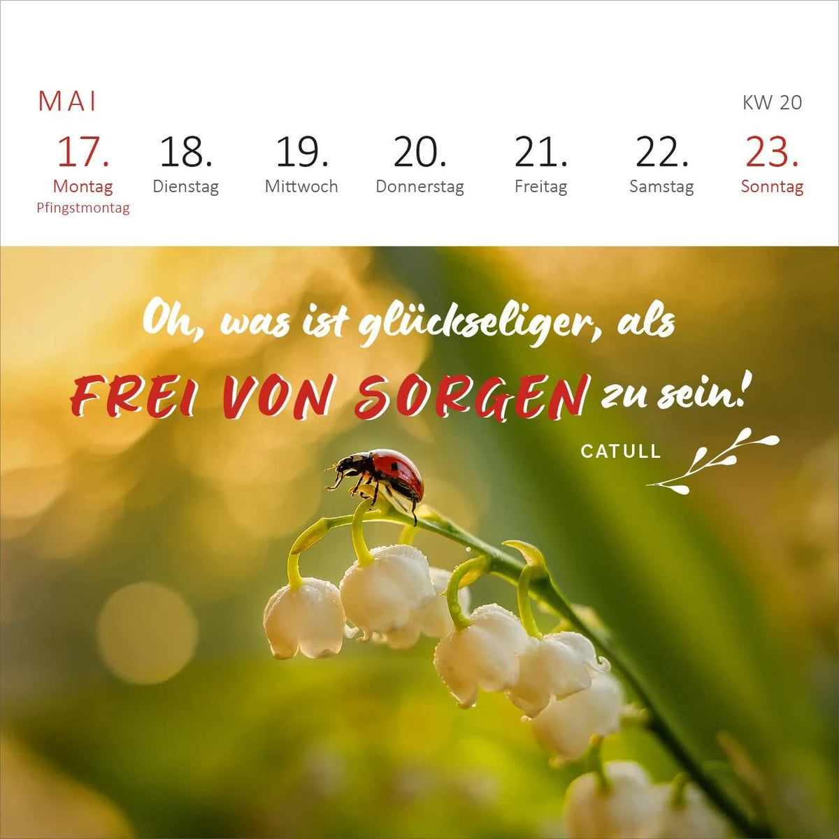 Mini-Wochenkalender 365 Tage Sonne im Herzen 2027 – Ansicht