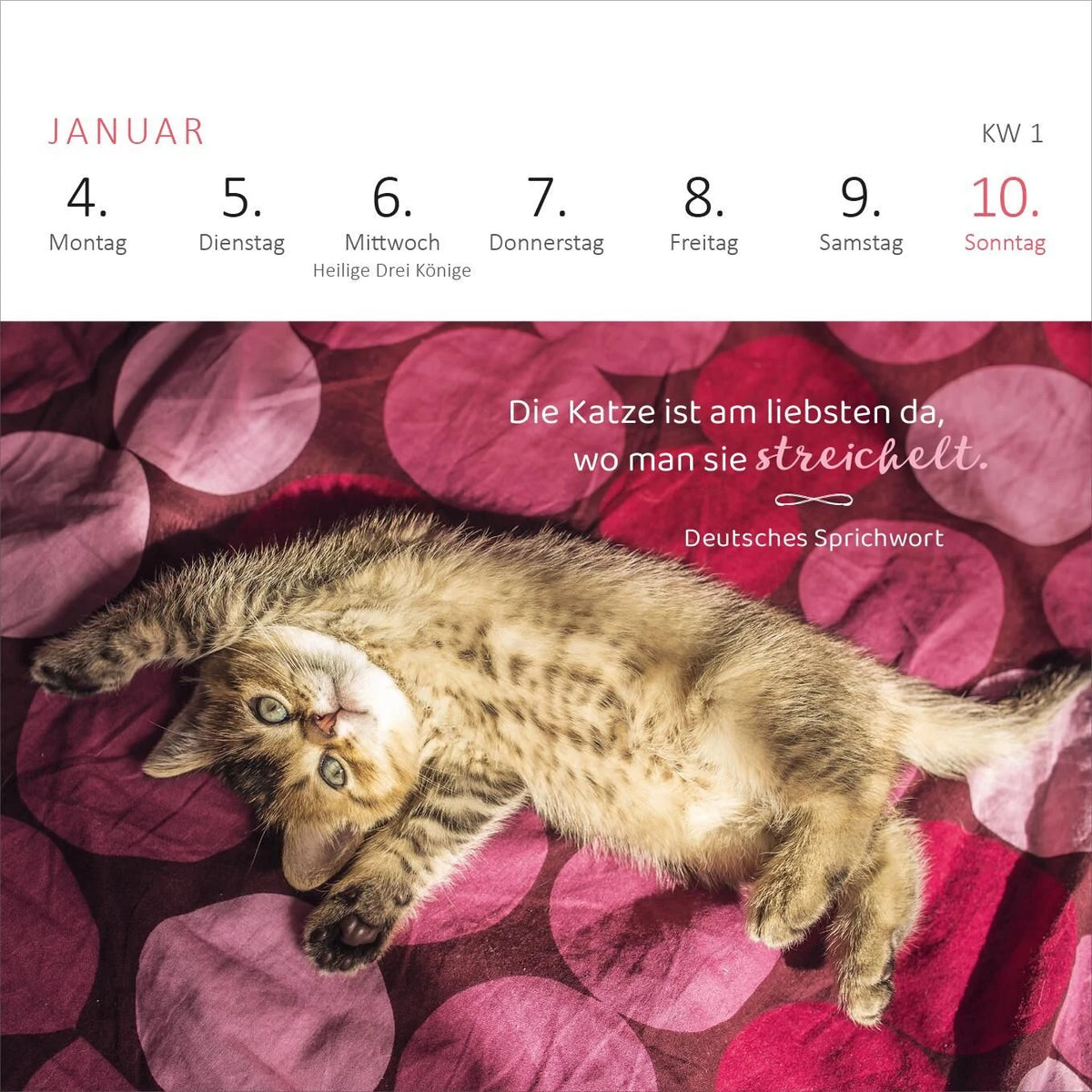 Mini-Wochenkalender Katzenweisheiten 2027 – Ansicht