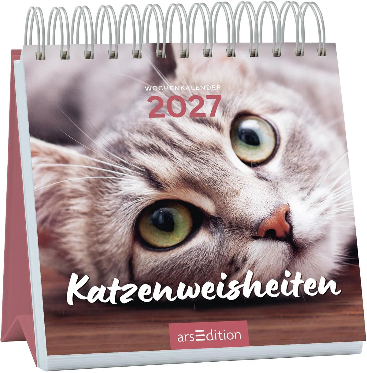 Taschenkalender: Mini-Wochenkalender Katzenweisheiten 2027