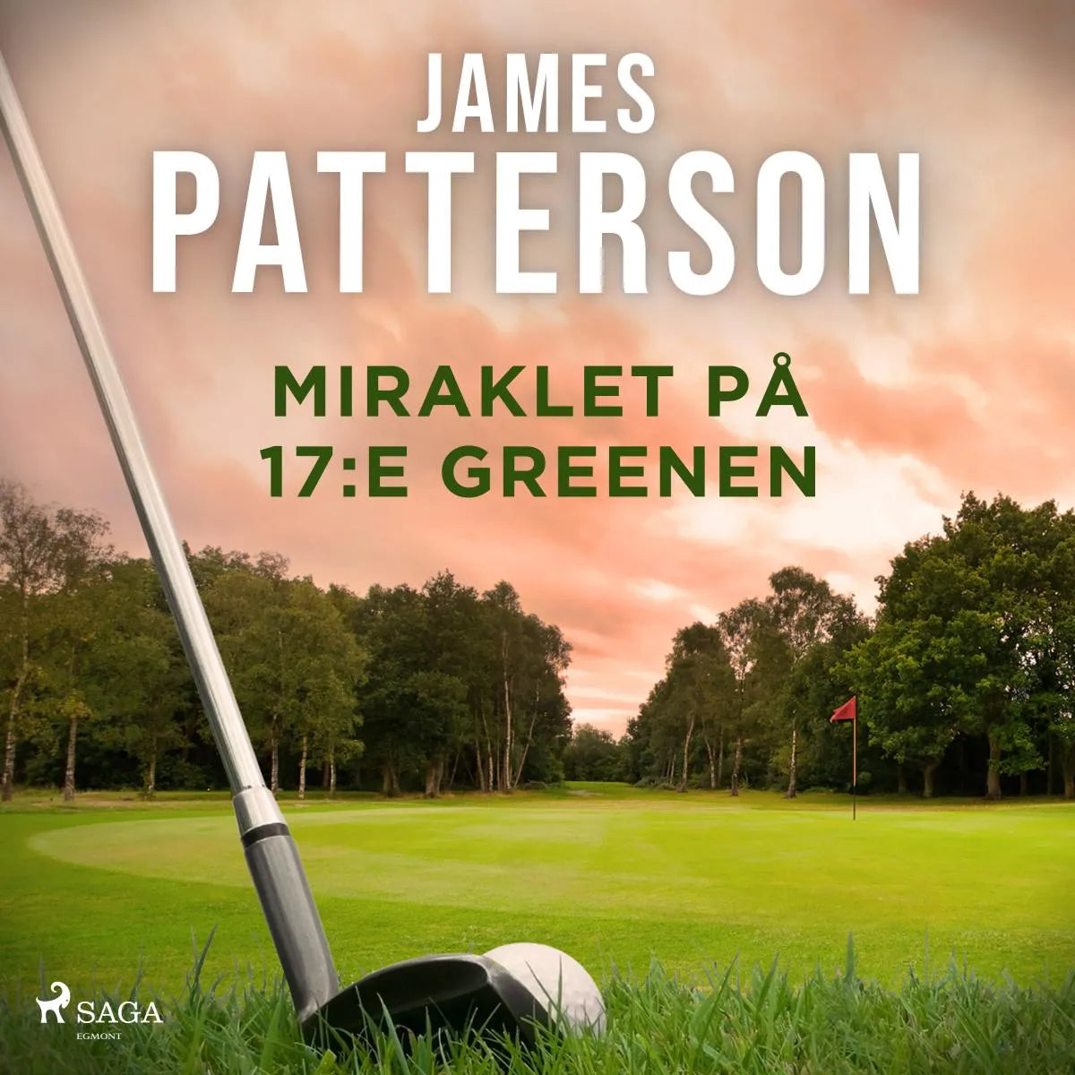 Cover: Miraklet på 17:e greenen (Hörbuch Download) von James Patterson