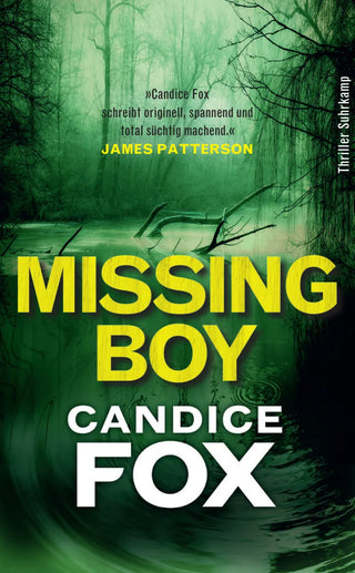 Missing Boy - Thriller