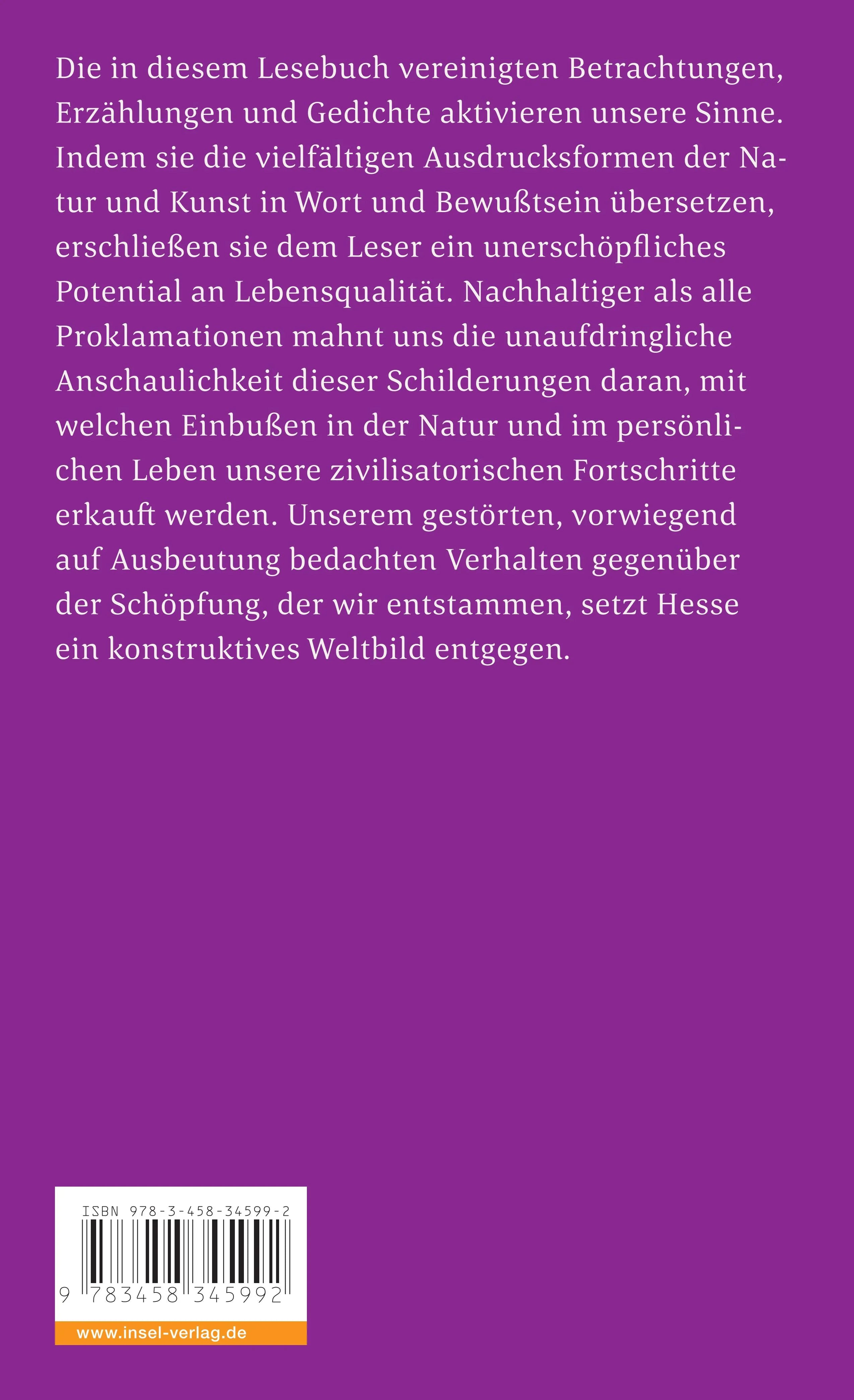 Buchrückseite von 'Mit dem Erstaunen fängt es an' mit Klappentext - Taschenbuch