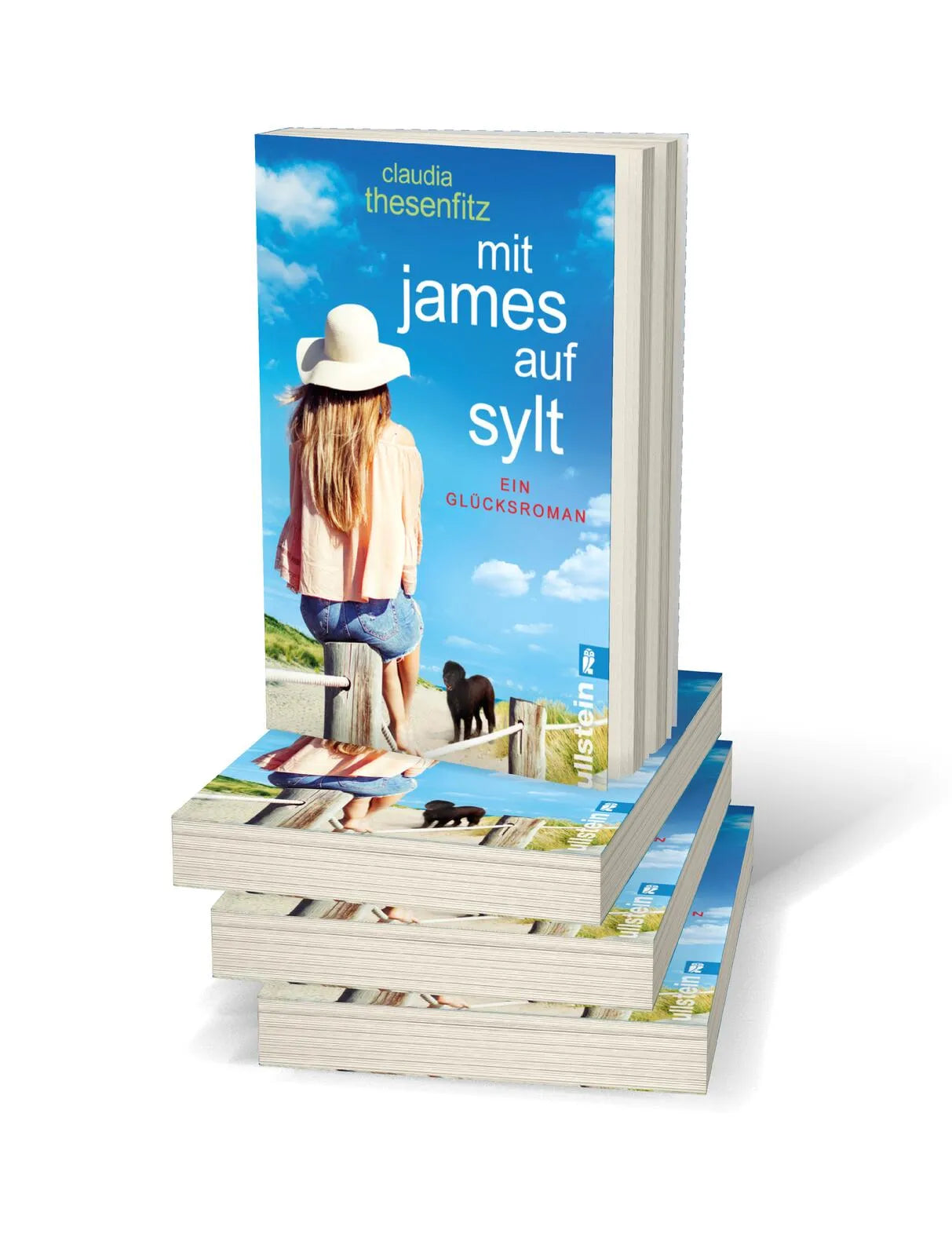 Detailansicht: Mit James auf Sylt (Taschenbuch)