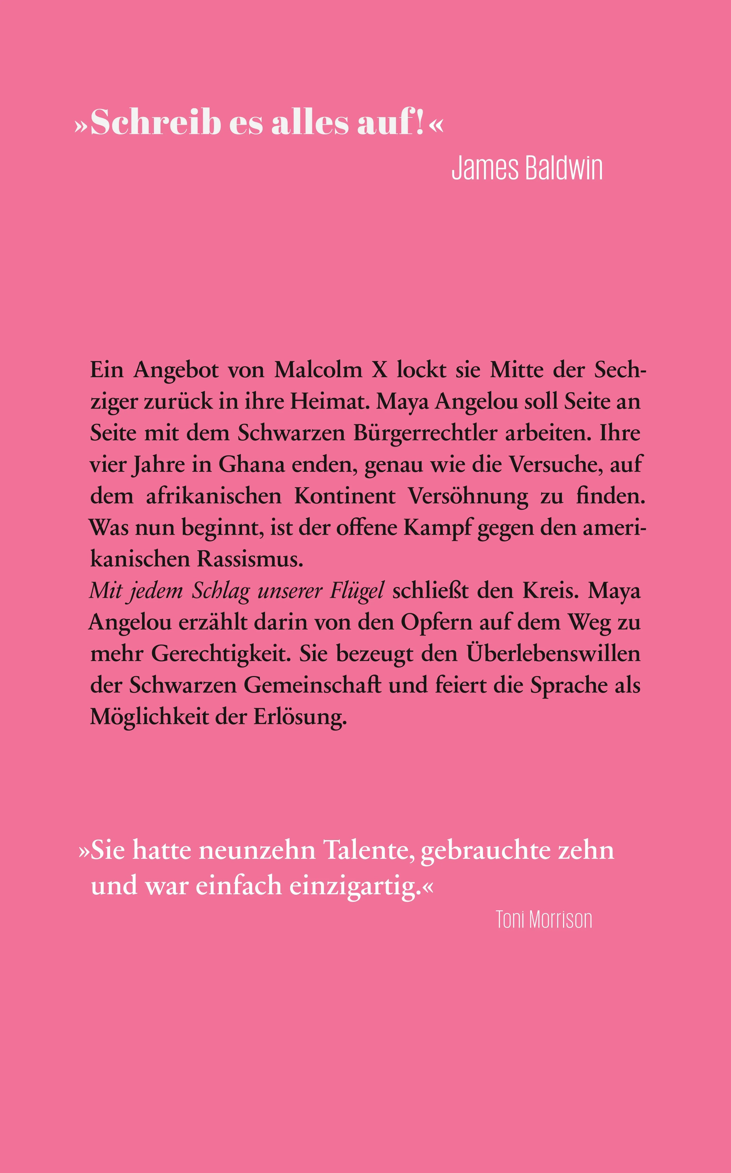 Buchrückseite von 'Mit jedem Schlag unserer Flügel' mit Klappentext - Paperback