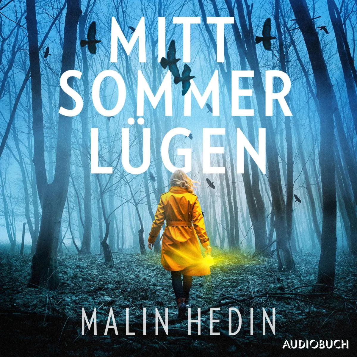 Cover: Mittsommerlügen (Hörbuch Download) von Malin Hedin