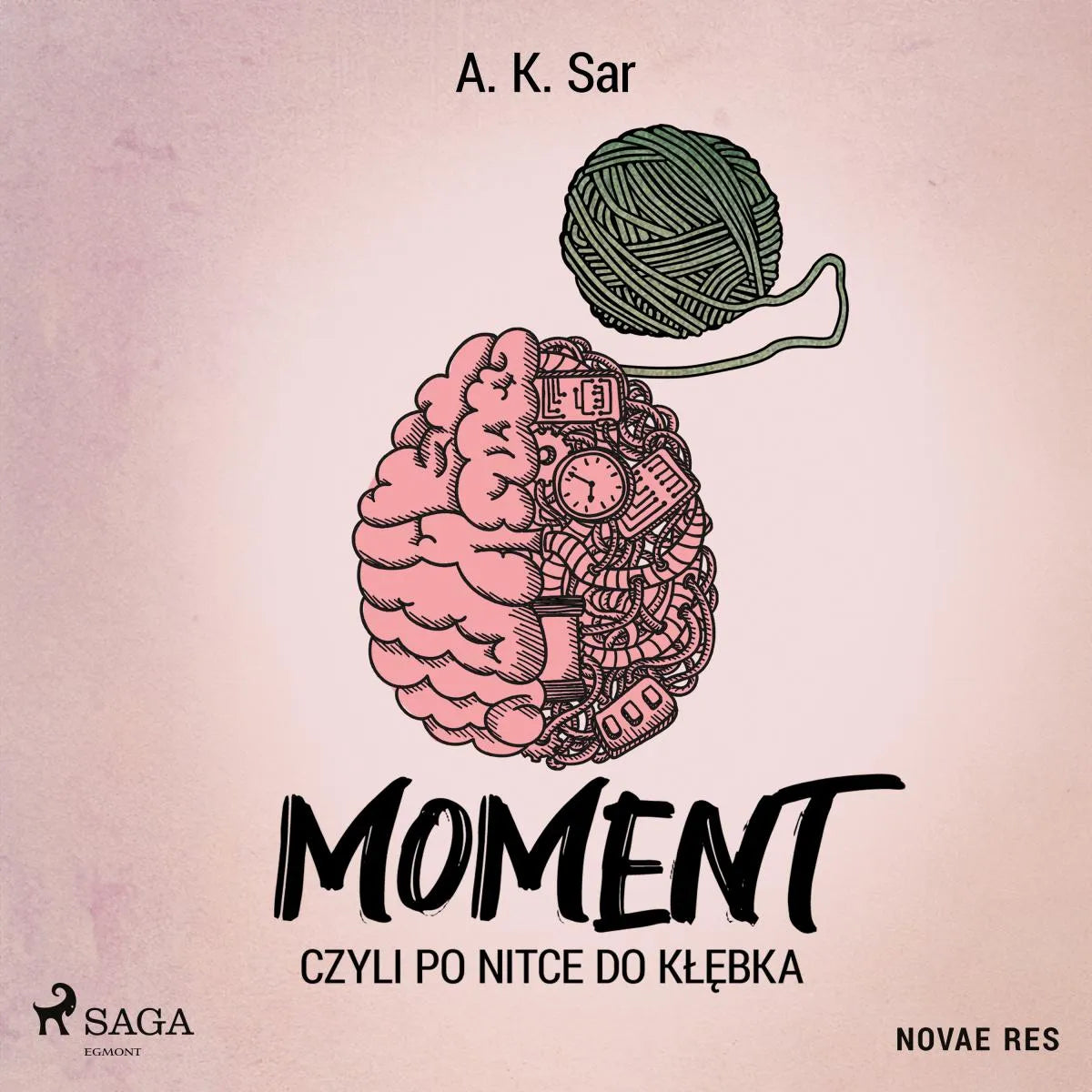 Cover: Moment, czyli po nitce do kłębka (Hörbuch Download) von A. K. Sar