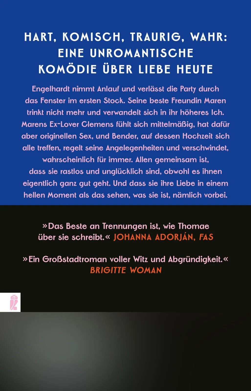 Rückseite: Momente der Klarheit (Taschenbuch)
