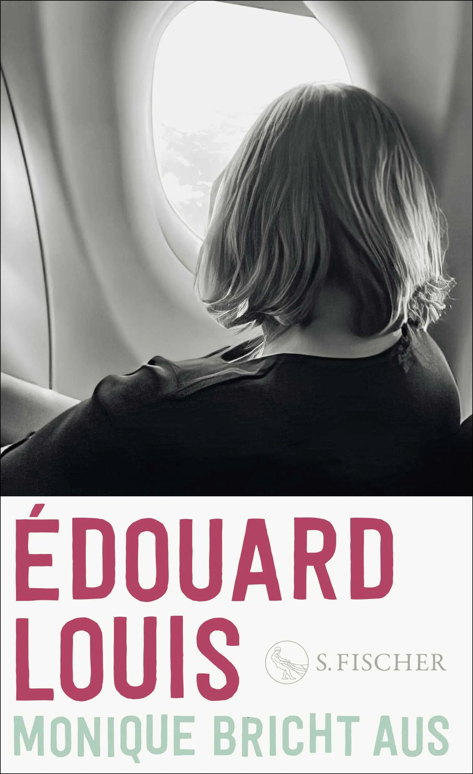 Buchcover von 'Monique bricht aus' - Gebundene Ausgabe von Édouard Louis