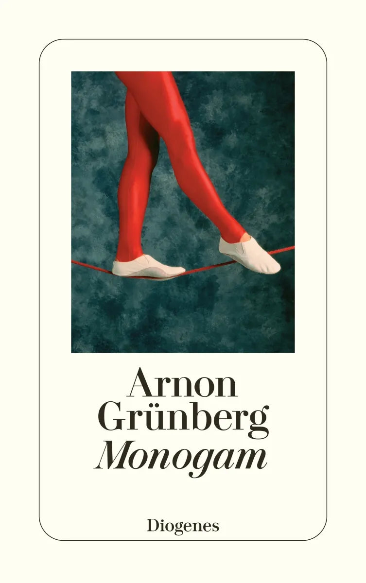 Cover: Monogam (E-Book) von Arnon Grünberg