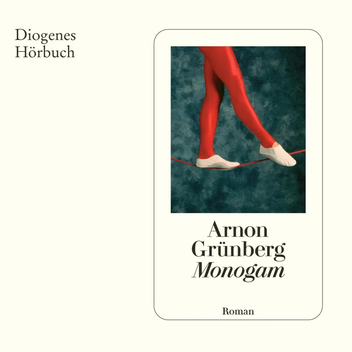 Cover: Monogam (Hörbuch Download) von Arnon Grünberg