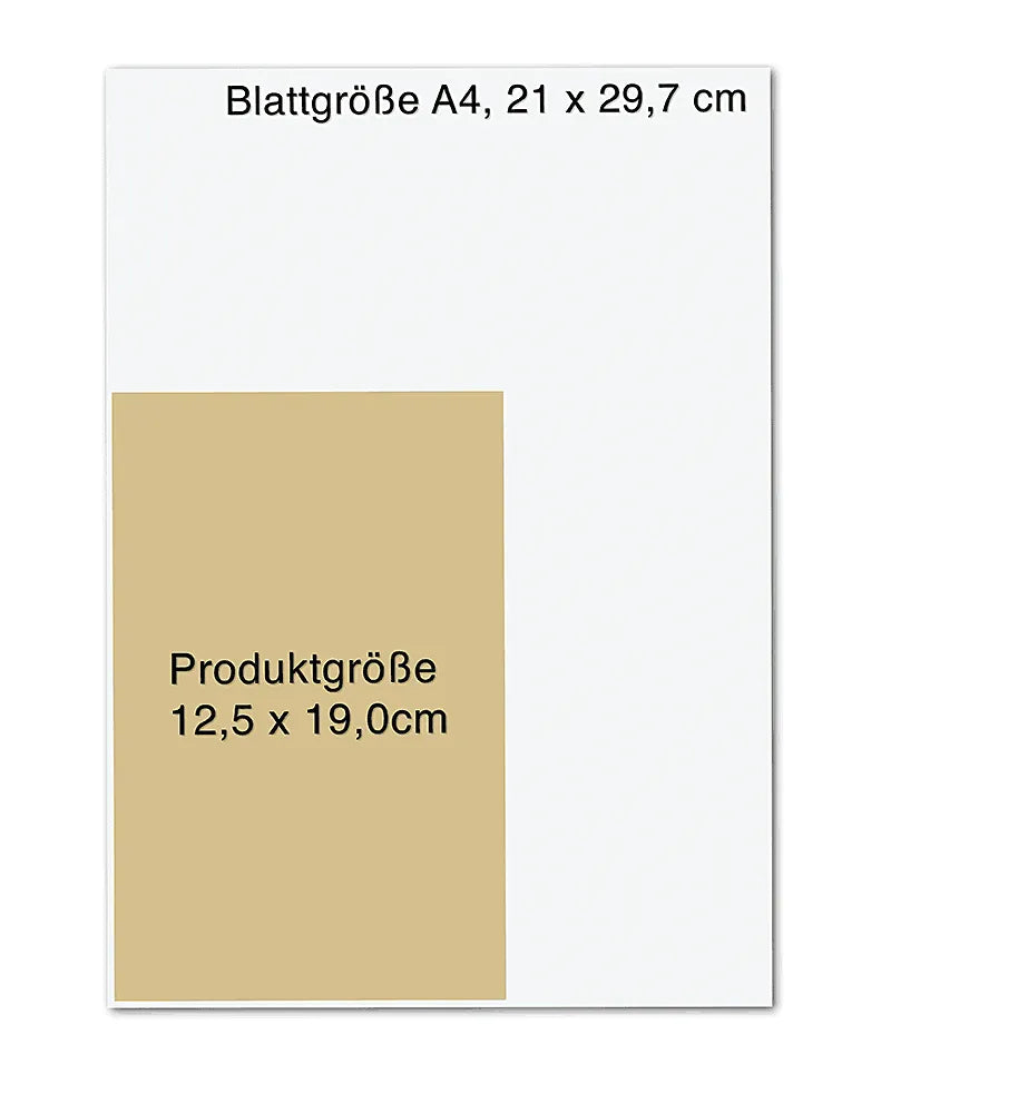 Detailansicht: Monsieur le Comte und die Kunst der Täuschung (Taschenbuch)