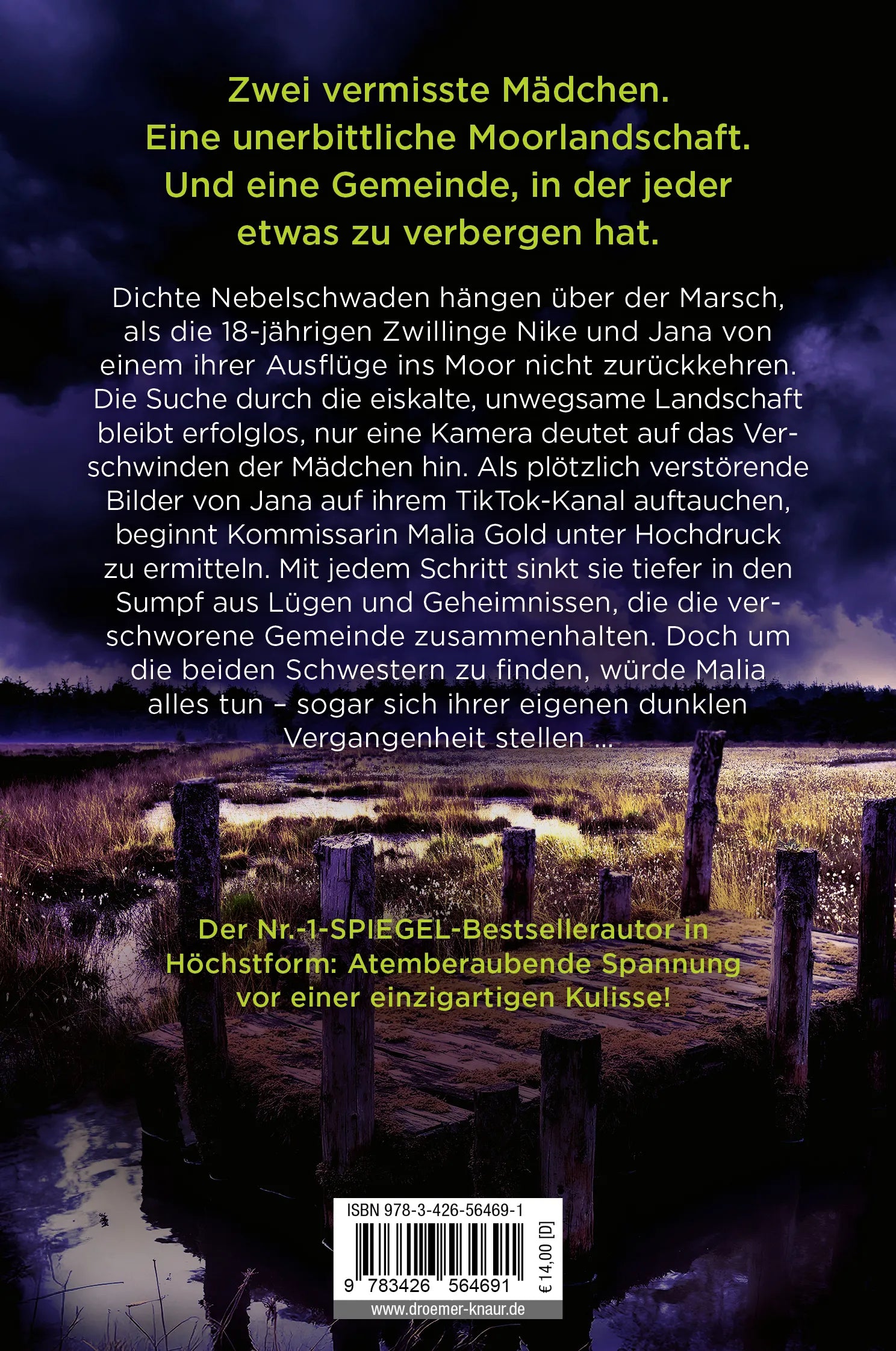Rückseite: Moorland. Die Zwillinge (Taschenbuch)