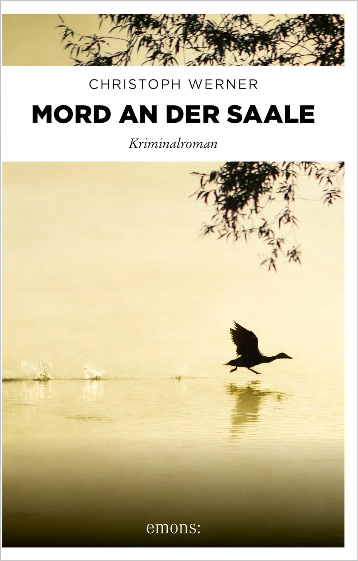Cover: Mord an der Saale (E-Book) von Christoph Werner