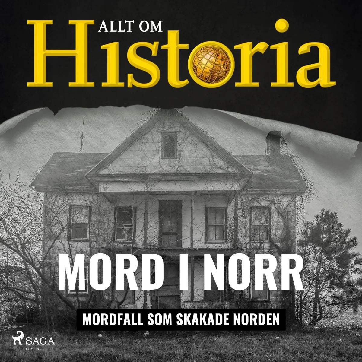 Cover: Mord i norr - Mordfall som skakade Norden (Hörbuch Download) von Allt om Historia