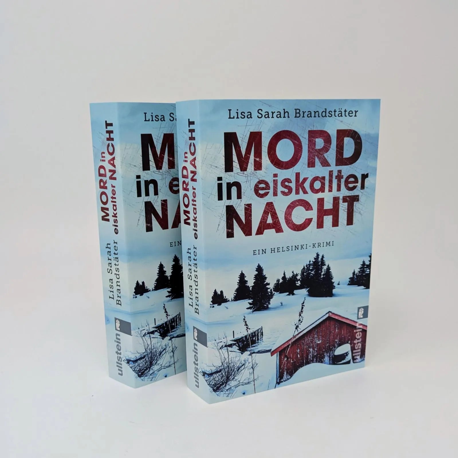 Detailansicht: Mord in eiskalter Nacht (Taschenbuch)