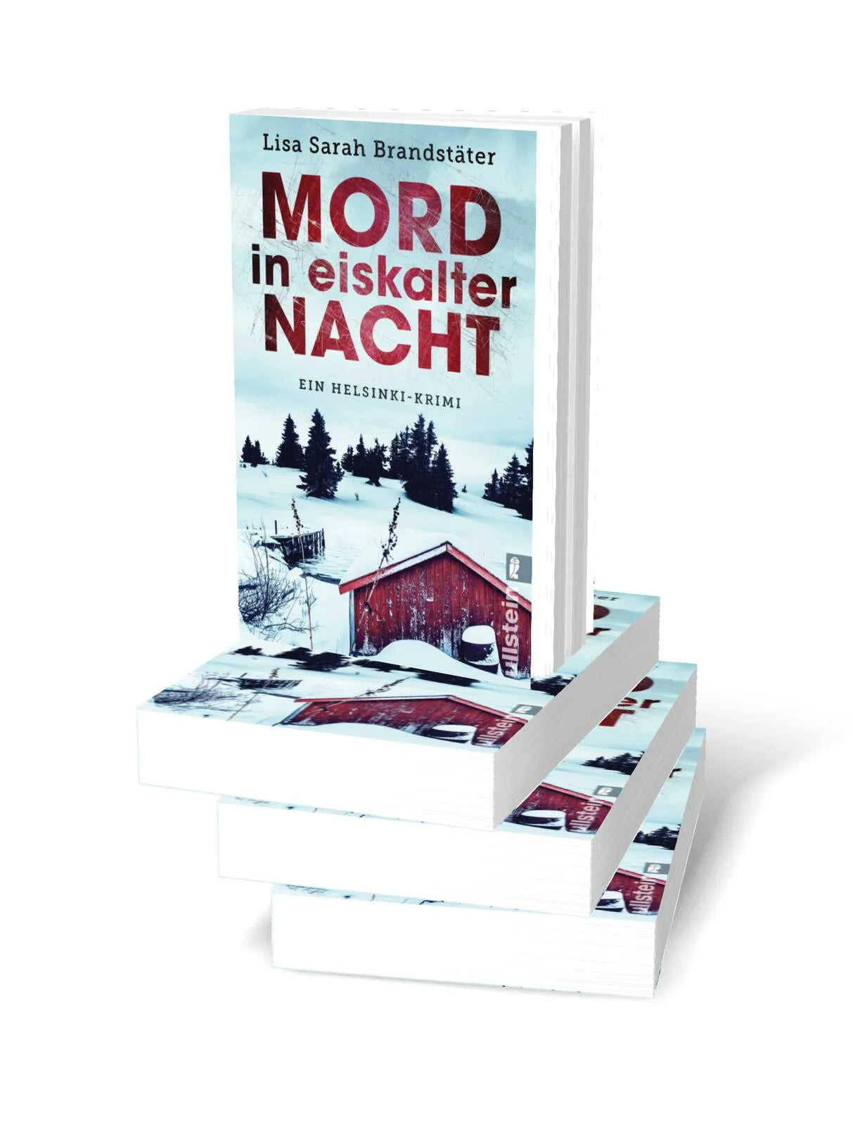 Detailansicht: Mord in eiskalter Nacht (Taschenbuch)