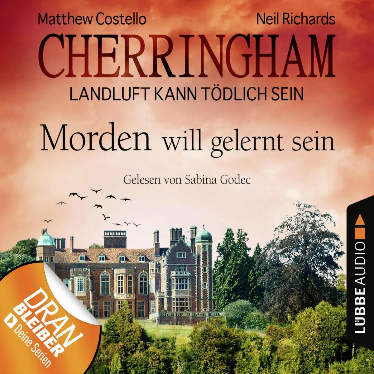 Cover: Morden will gelernt sein (Hörbuch Download) von Neil Richards