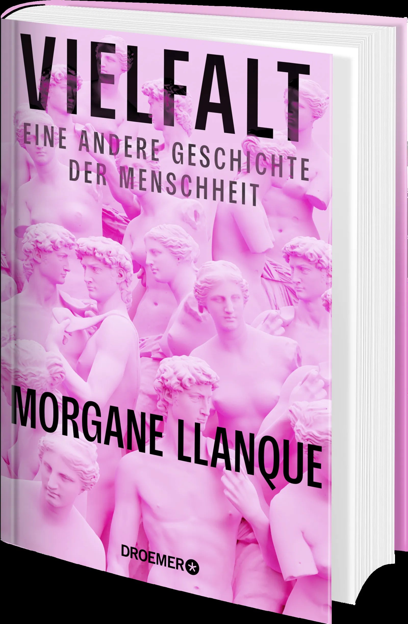 Produktansicht: Vielfalt (Gebundene Ausgabe)