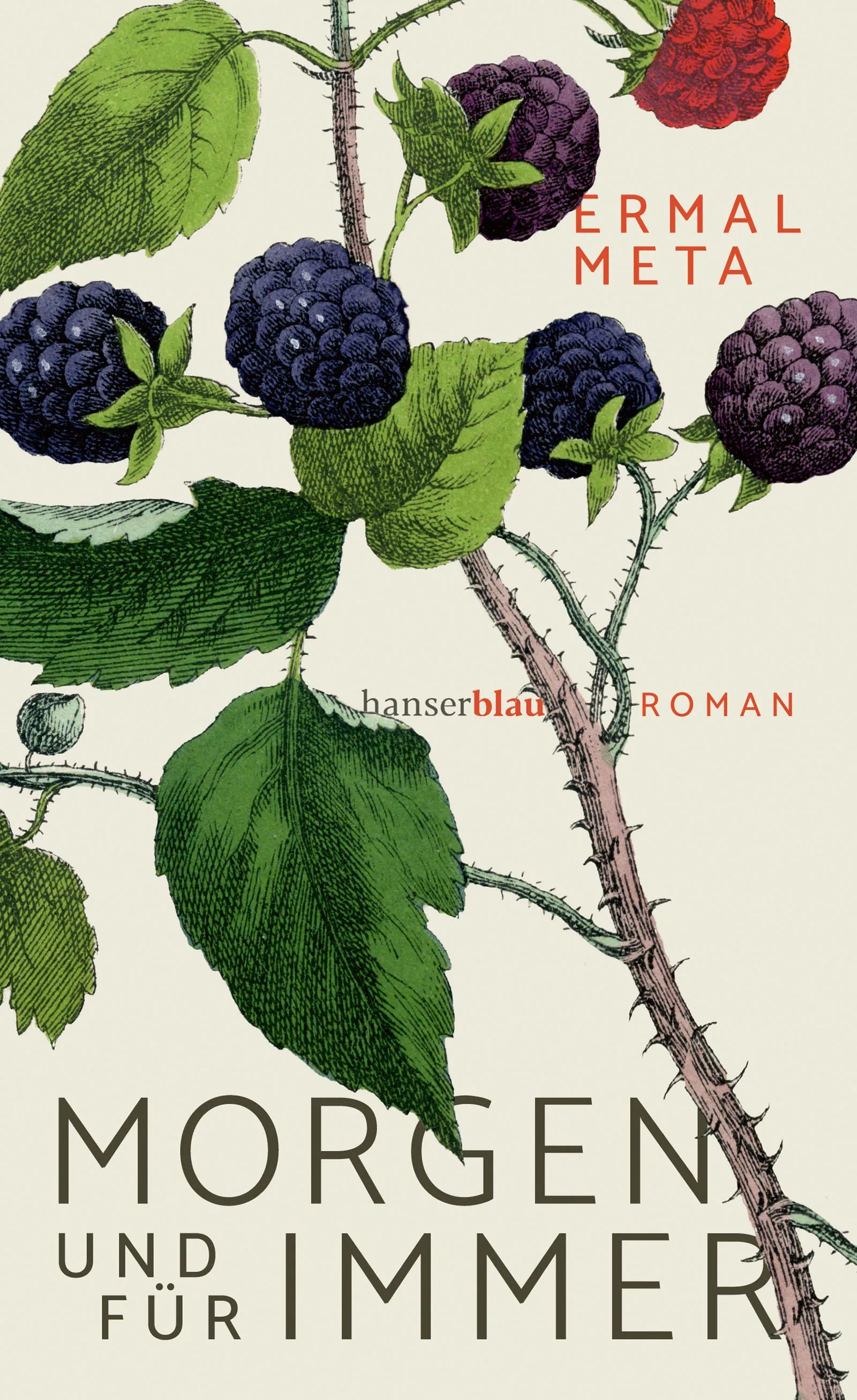 Cover: Morgen und für immer (E-Book) von Ermal Meta