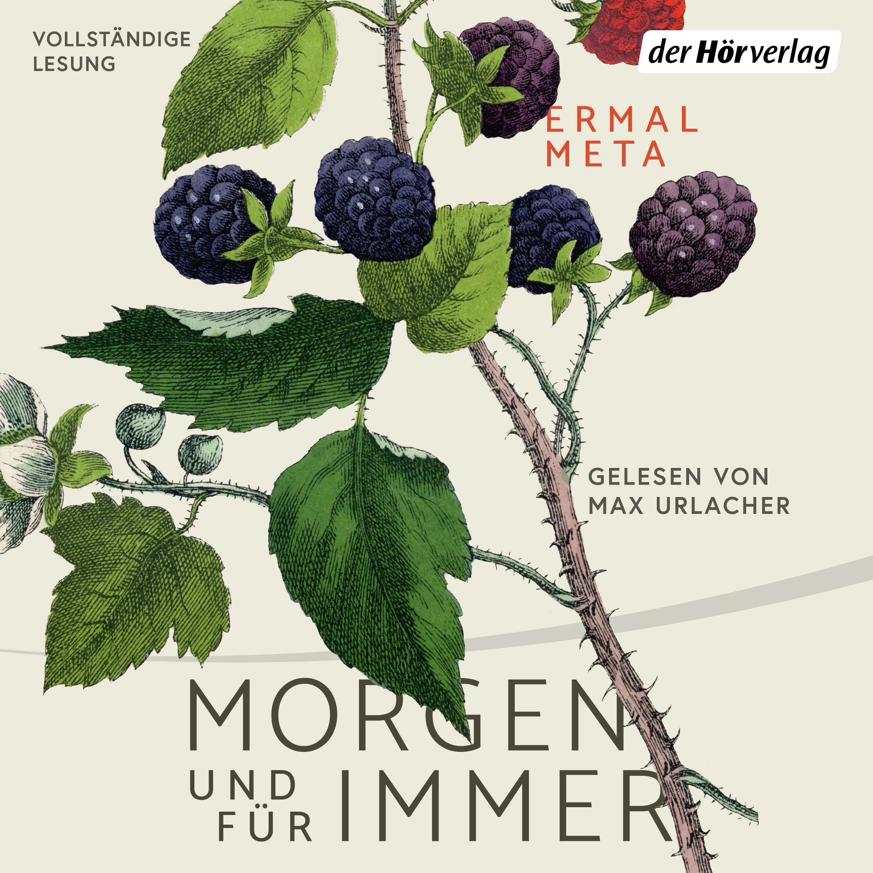 Cover: Morgen und für immer (Hörbuch Download) von Ermal Meta