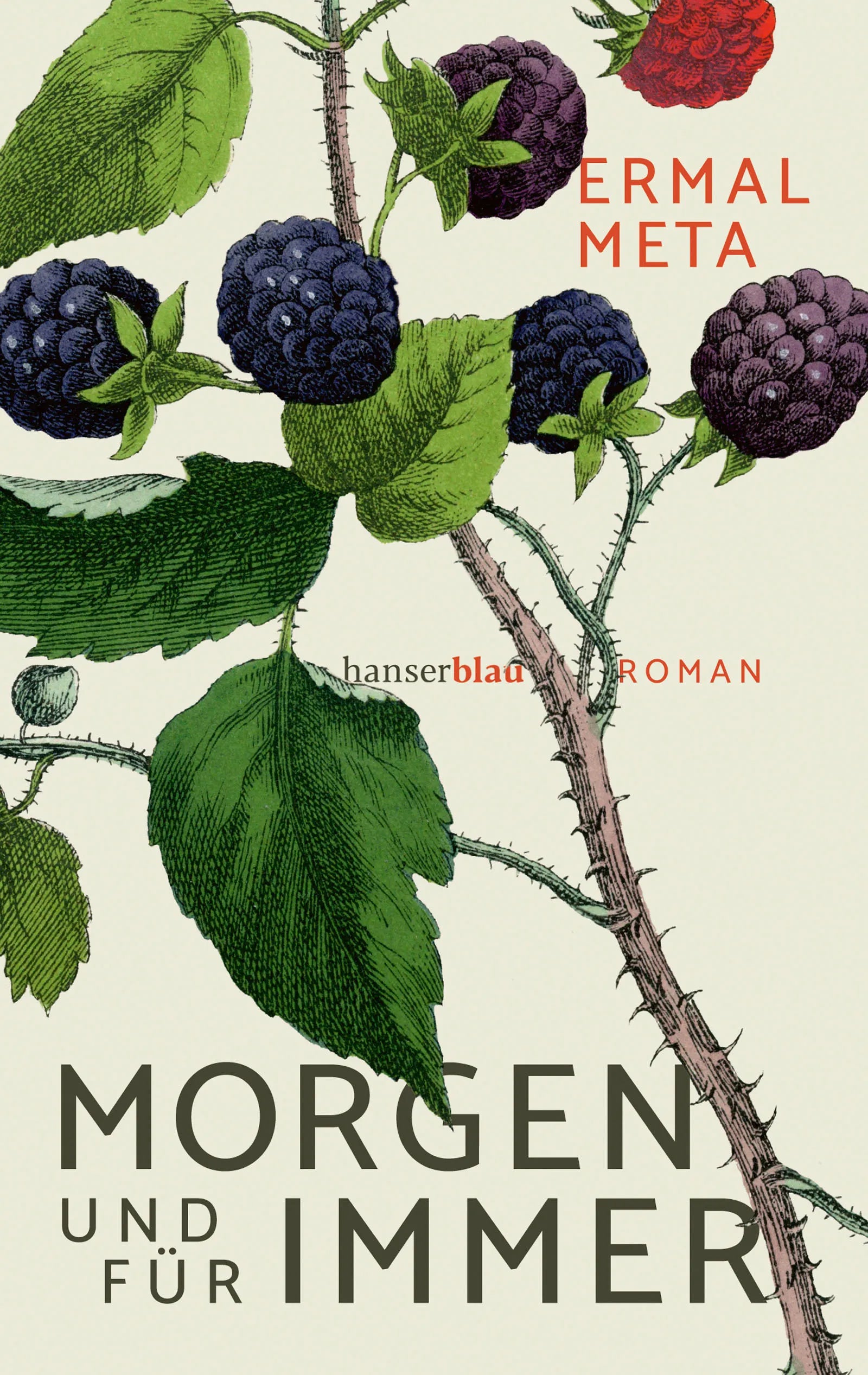 Buchcover von 'Morgen und für immer' - Taschenbuch von Ermal Meta