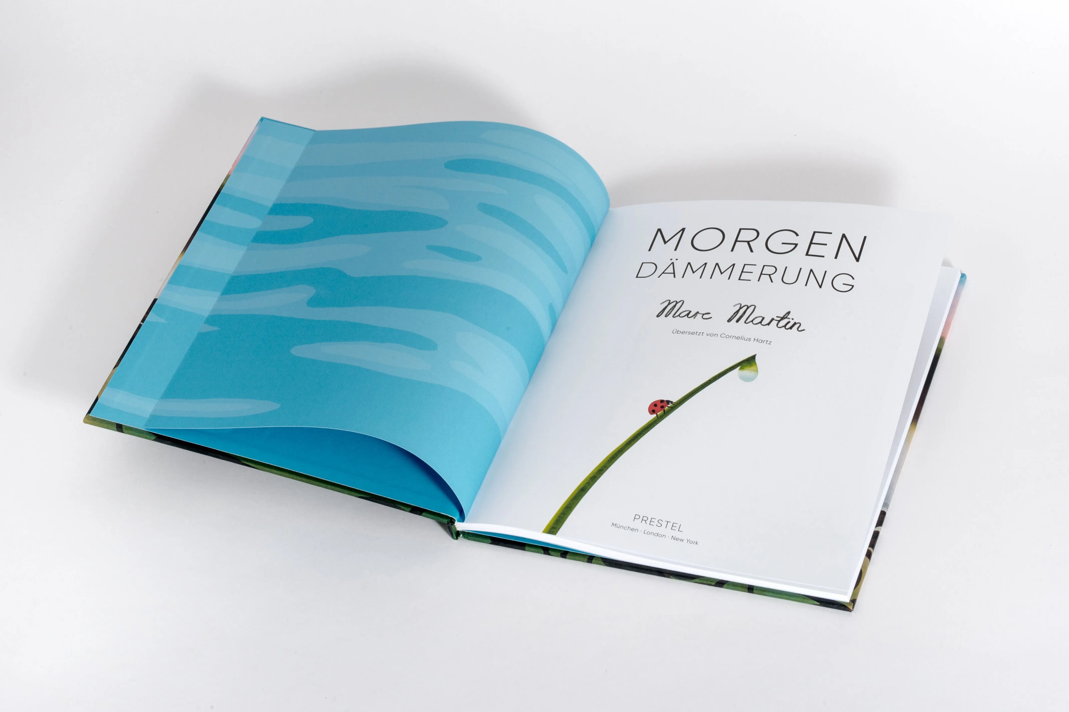 Detailansicht: Morgendämmerung (Hardcover)