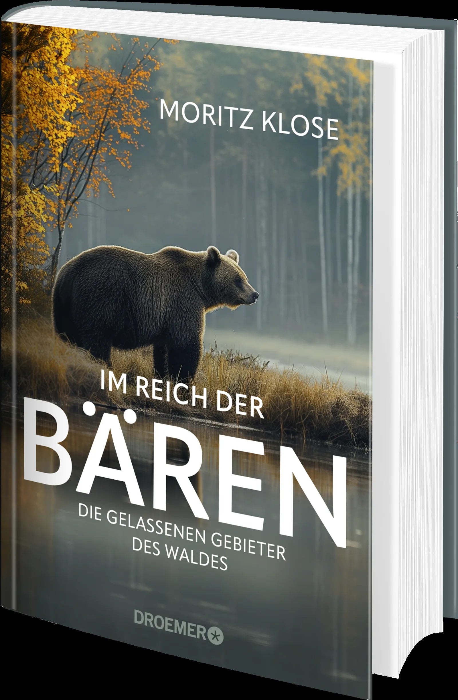Produktansicht: Im Reich der Bären (Gebundene Ausgabe)