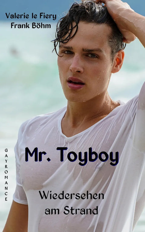 Mr. Toyboy