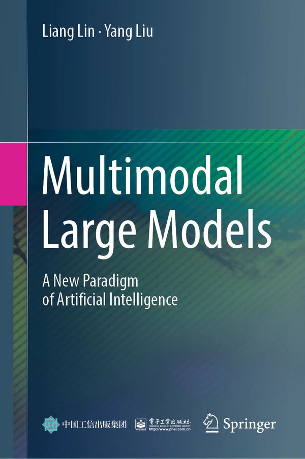 Multimodal Large Models