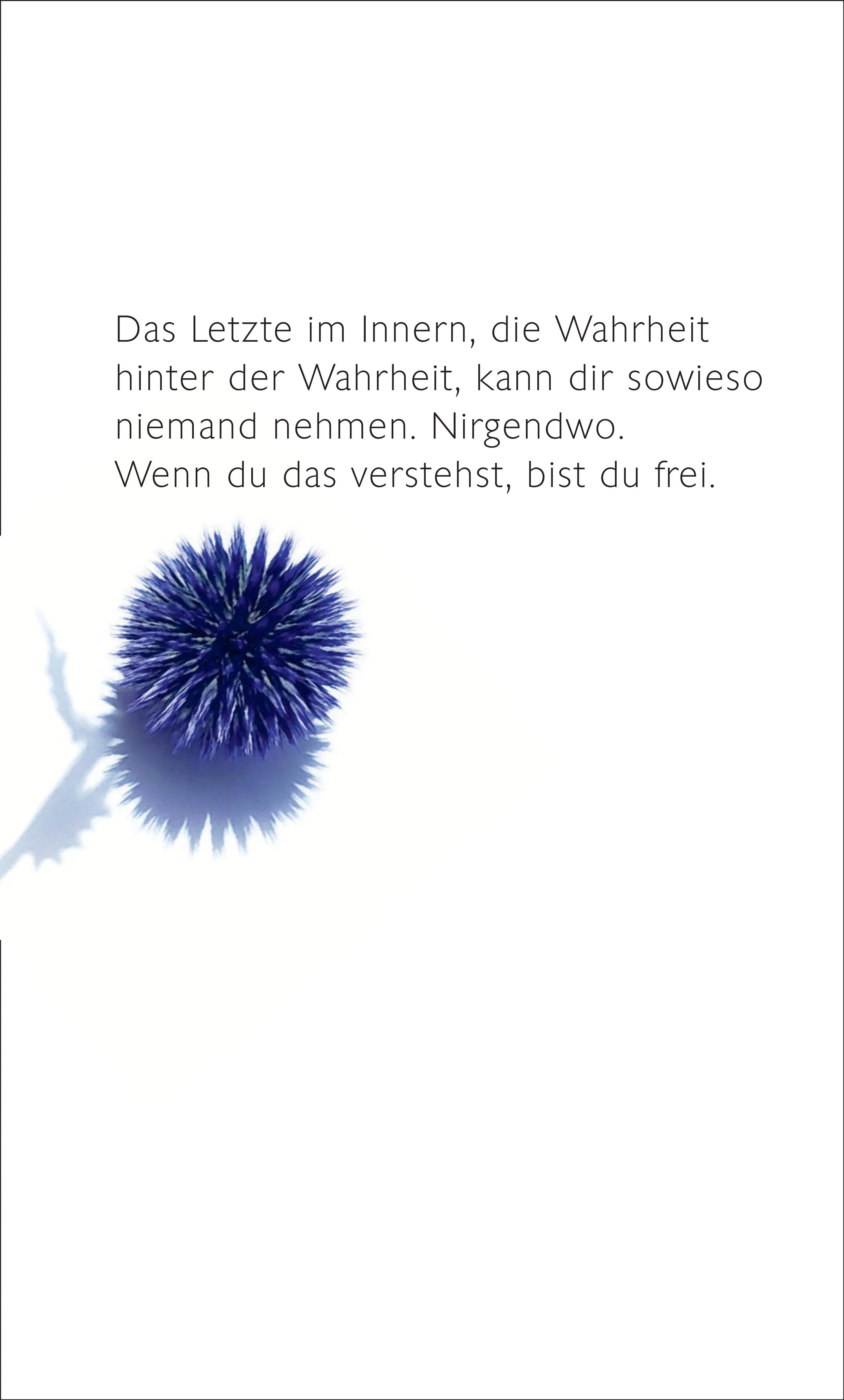 Rückseite: Museum der Einsamkeit (Hardcover)