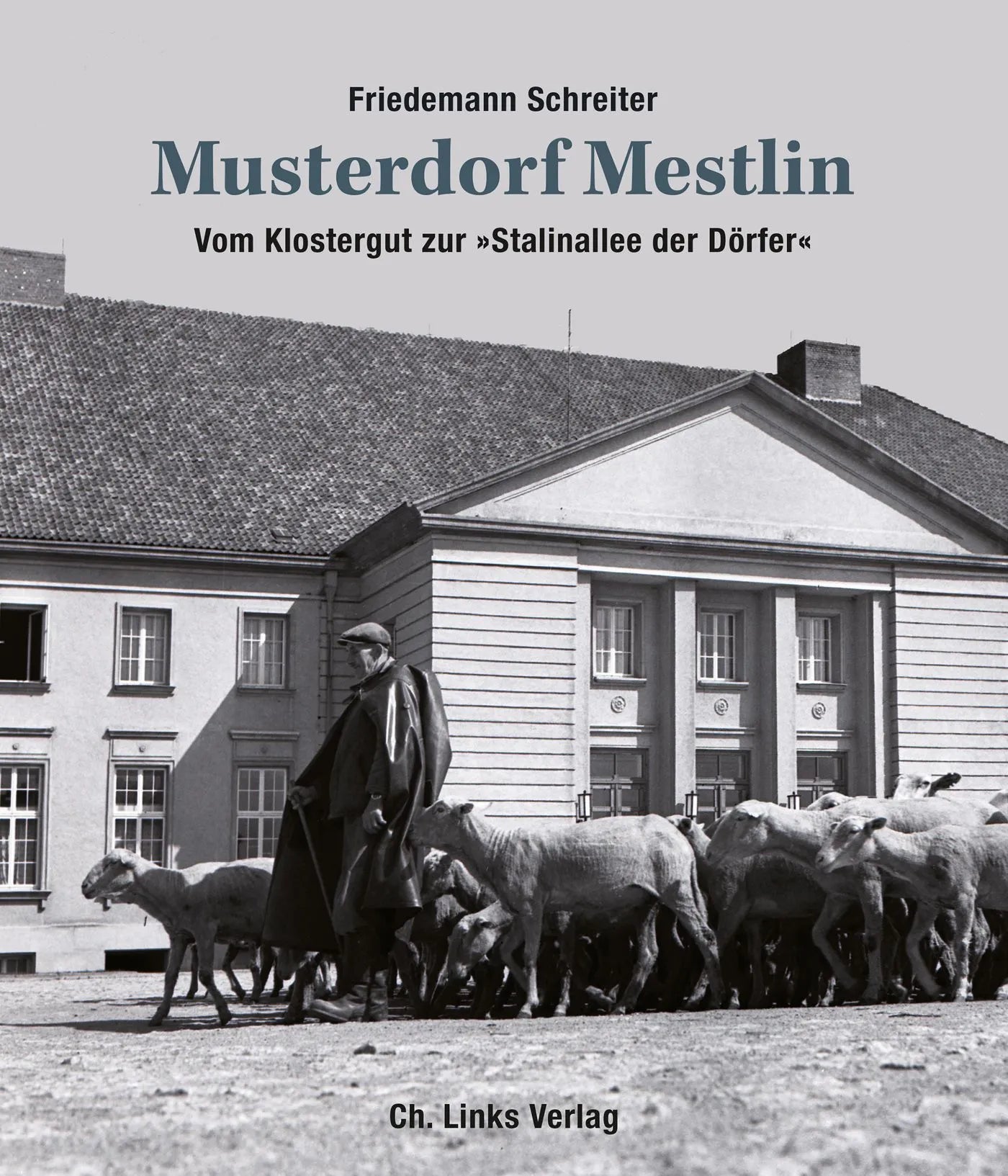 Buchcover von 'Musterdorf Mestlin' - Paperback von Friedemann Schreiter