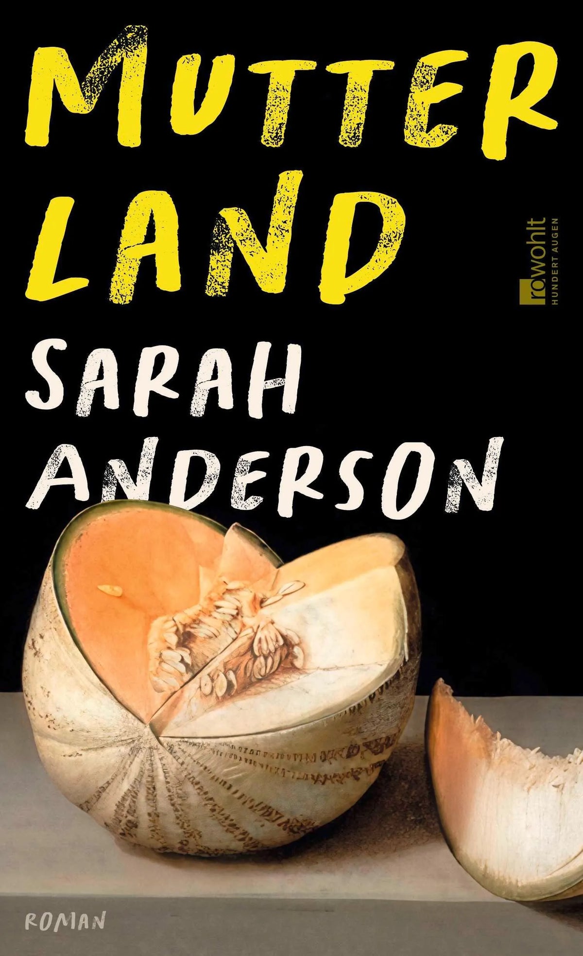 Cover: Mutterland (Hardcover) von Sarah Anderson