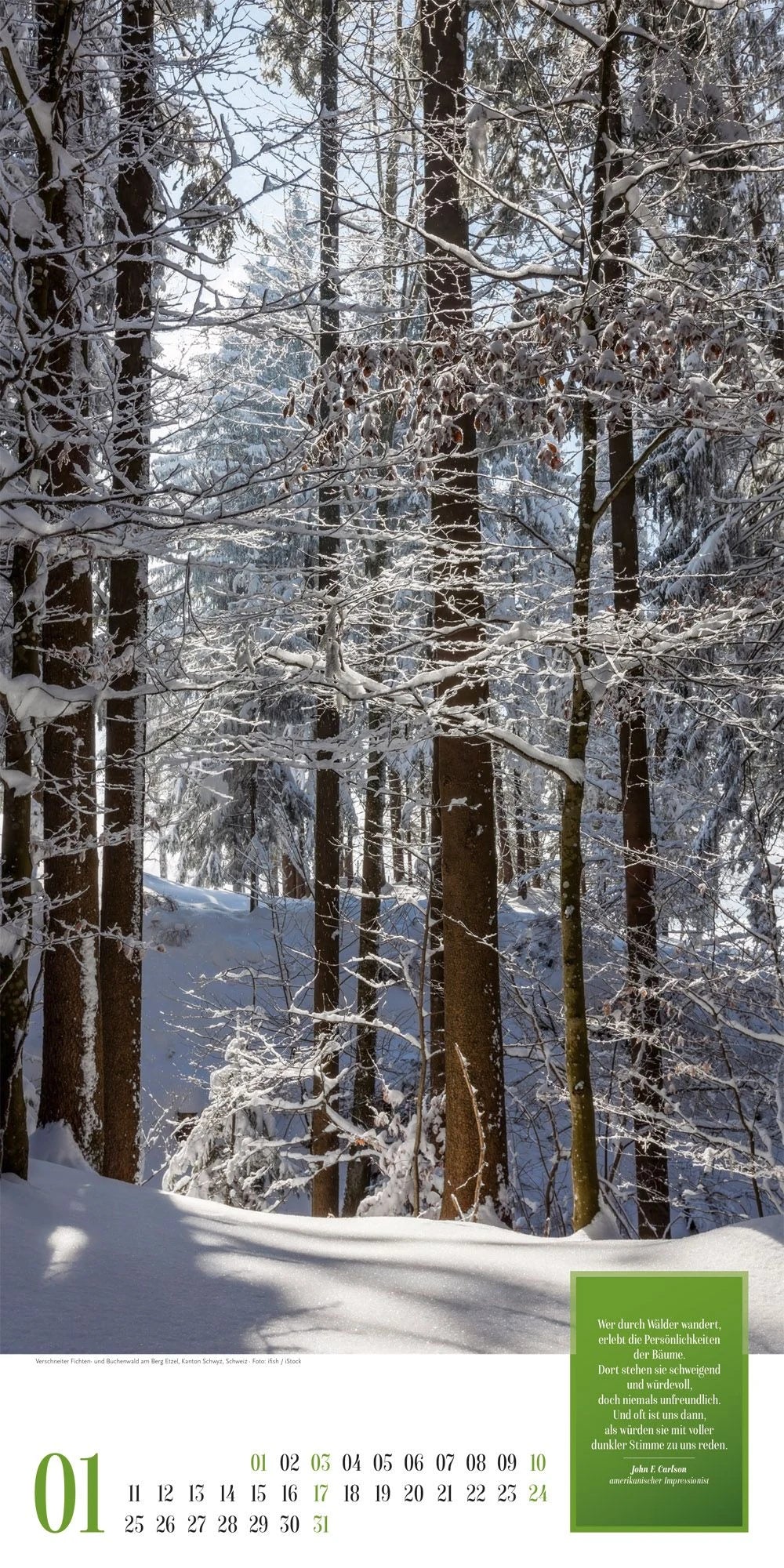 Mythos Wald Literatur-Kalender 2027 – Ansicht
