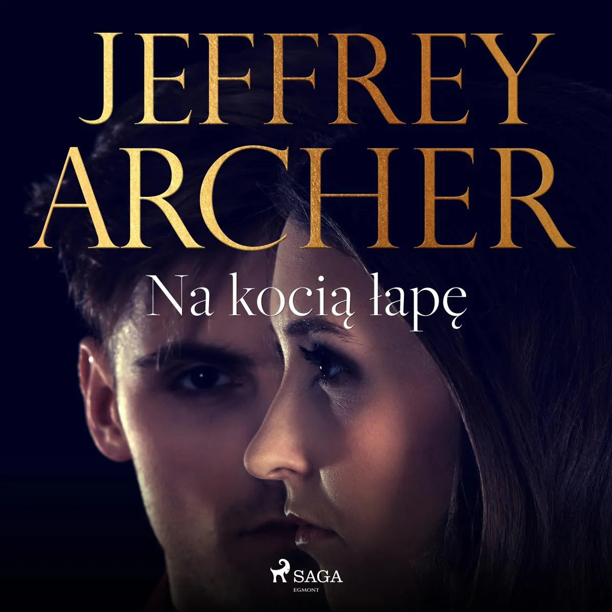 Cover: Na kocią łapę (Hörbuch Download) von Jeffrey Archer