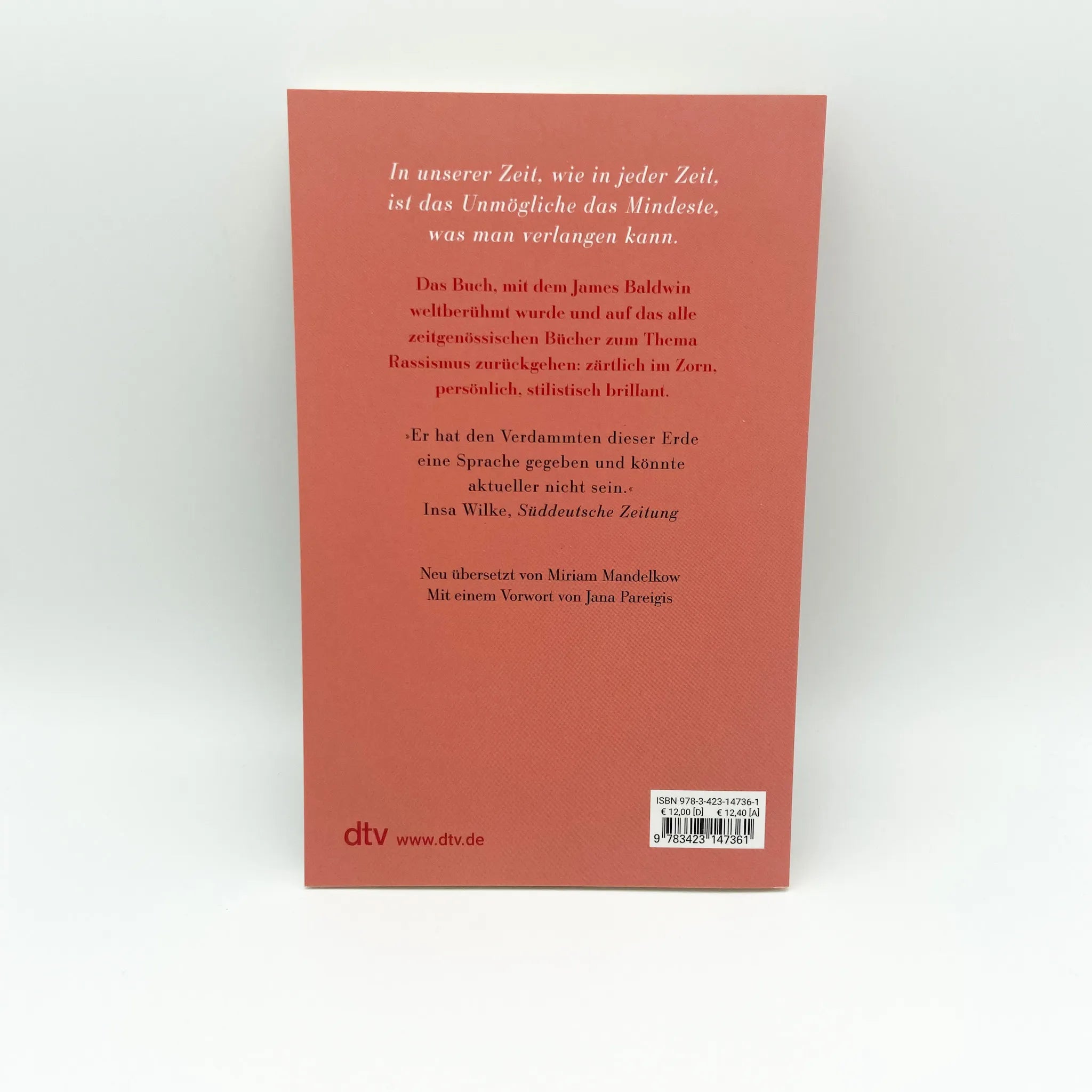 Produktansicht: Nach der Flut das Feuer (Taschenbuch)