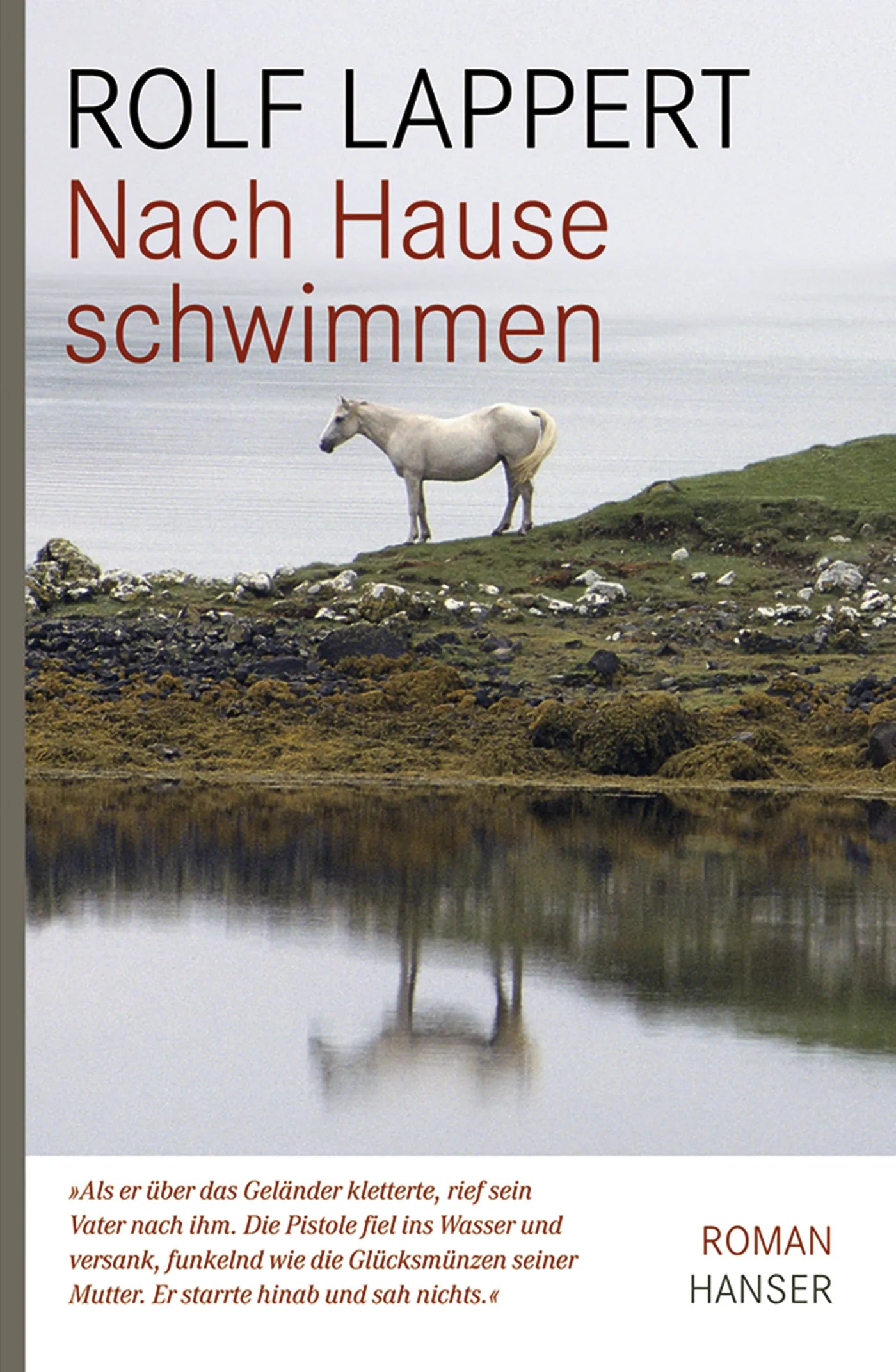 Buchcover von 'Nach Hause schwimmen' - Gebundene Ausgabe von Rolf Lappert