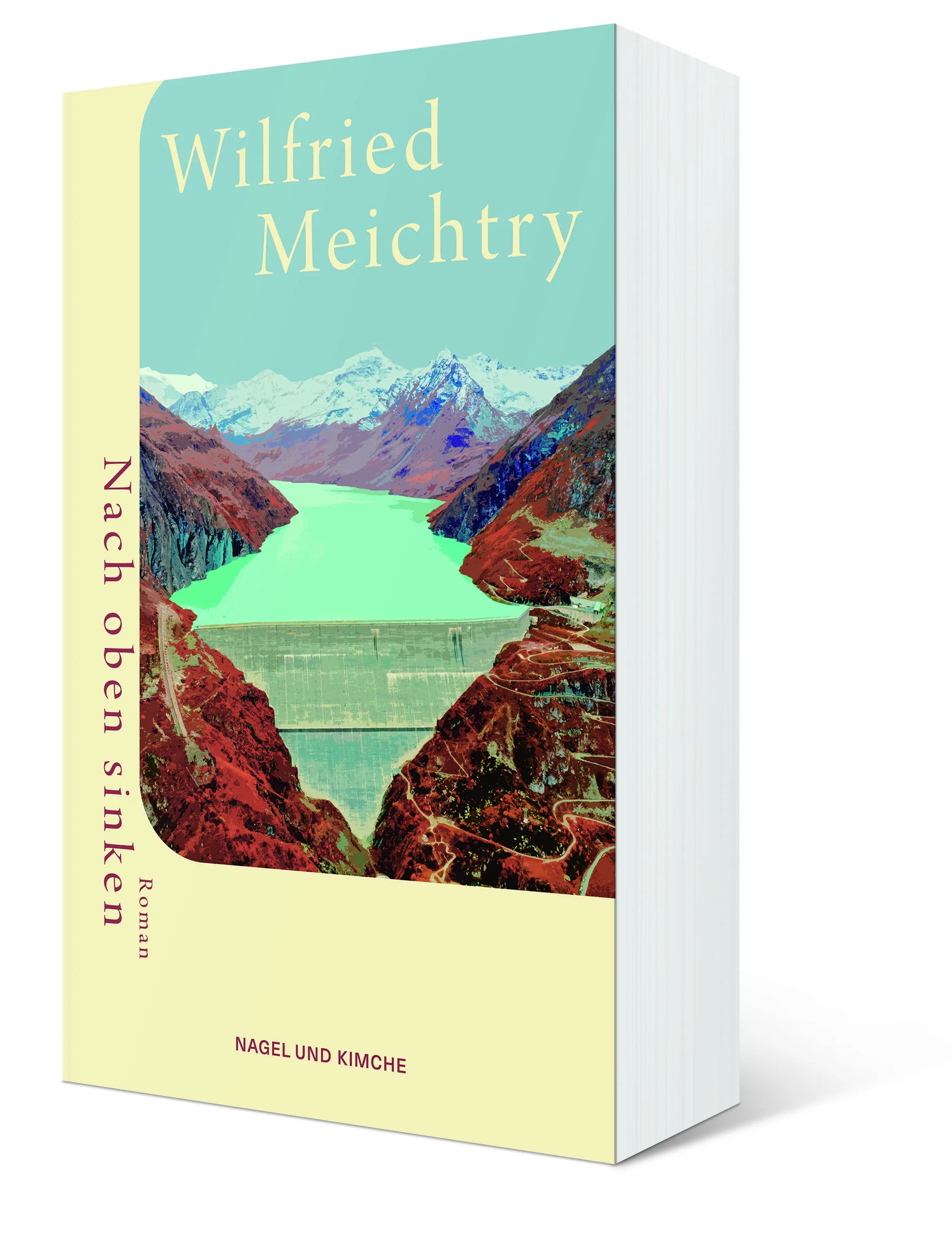 Wilfried Meichtry - Nach oben sinken