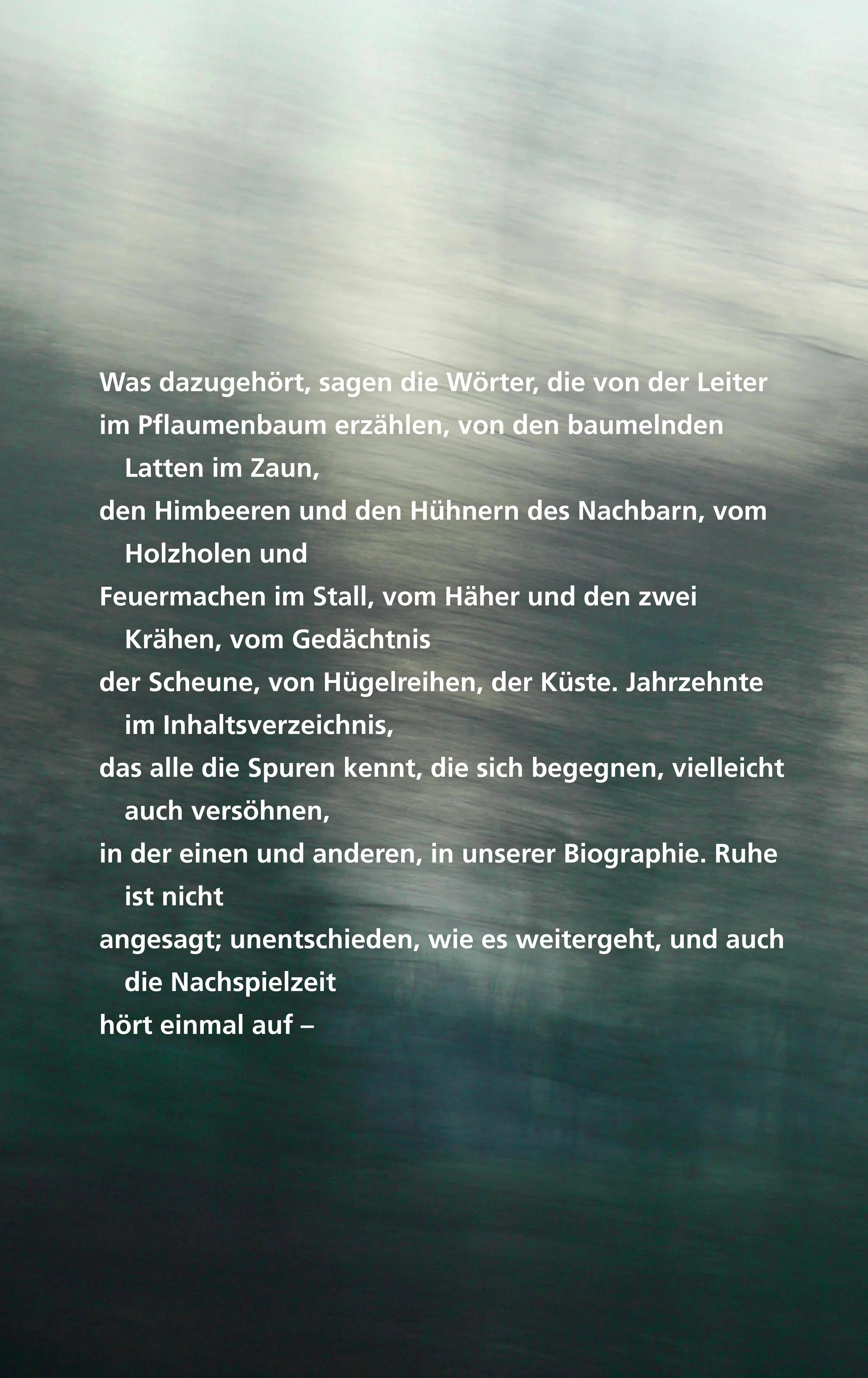 Buchrückseite von 'Nachspielzeit' mit Klappentext - Gebundene Ausgabe