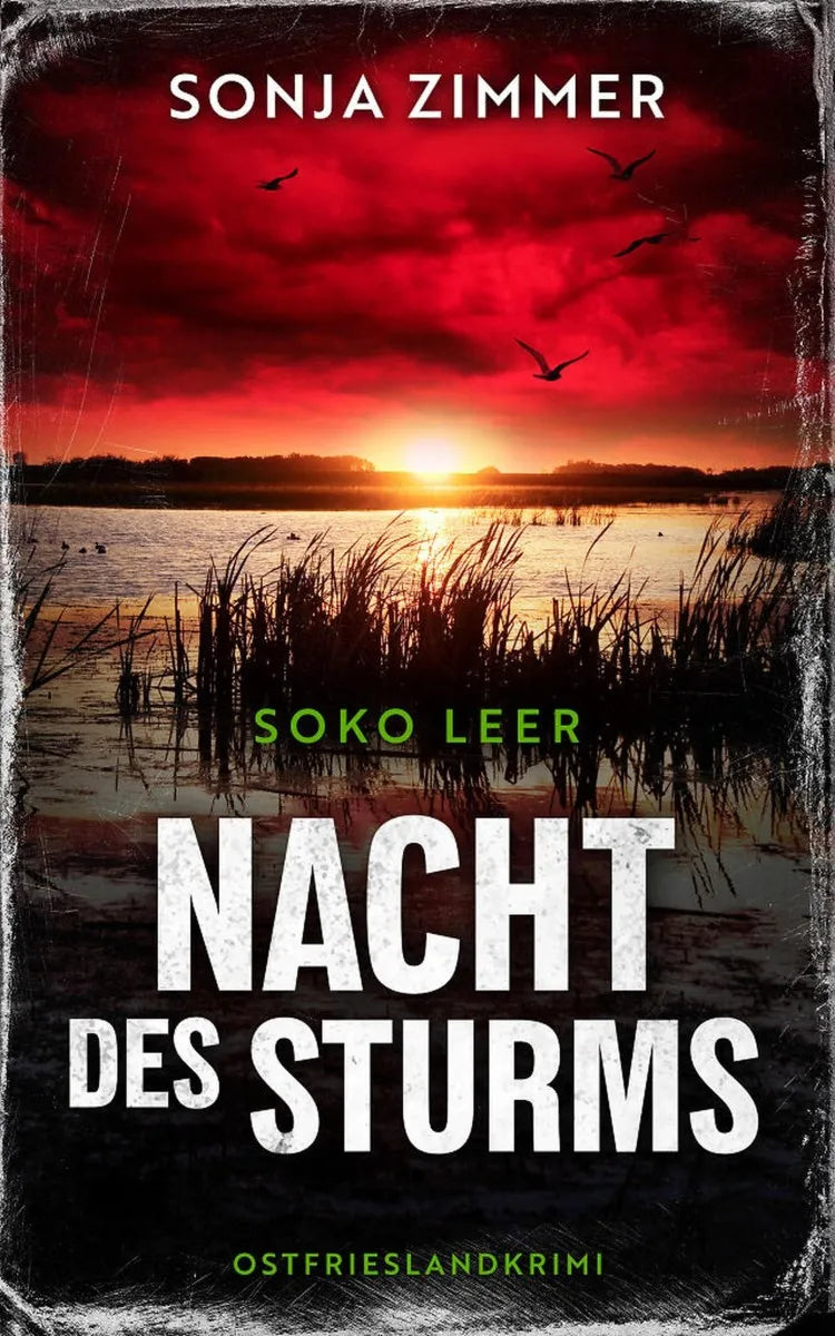 Cover: Nacht des Sturms (E-Book) von Sonja Zimmer