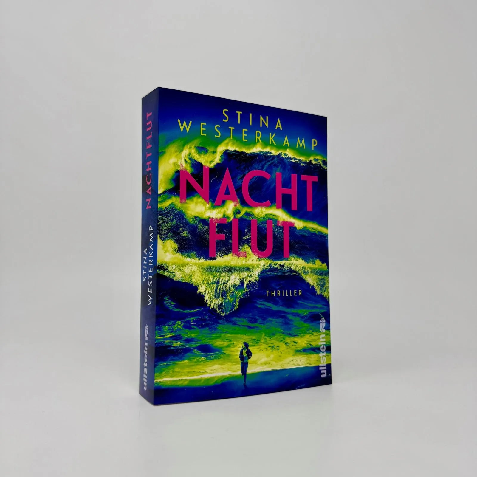 Abbildung von 'Nachtflut'