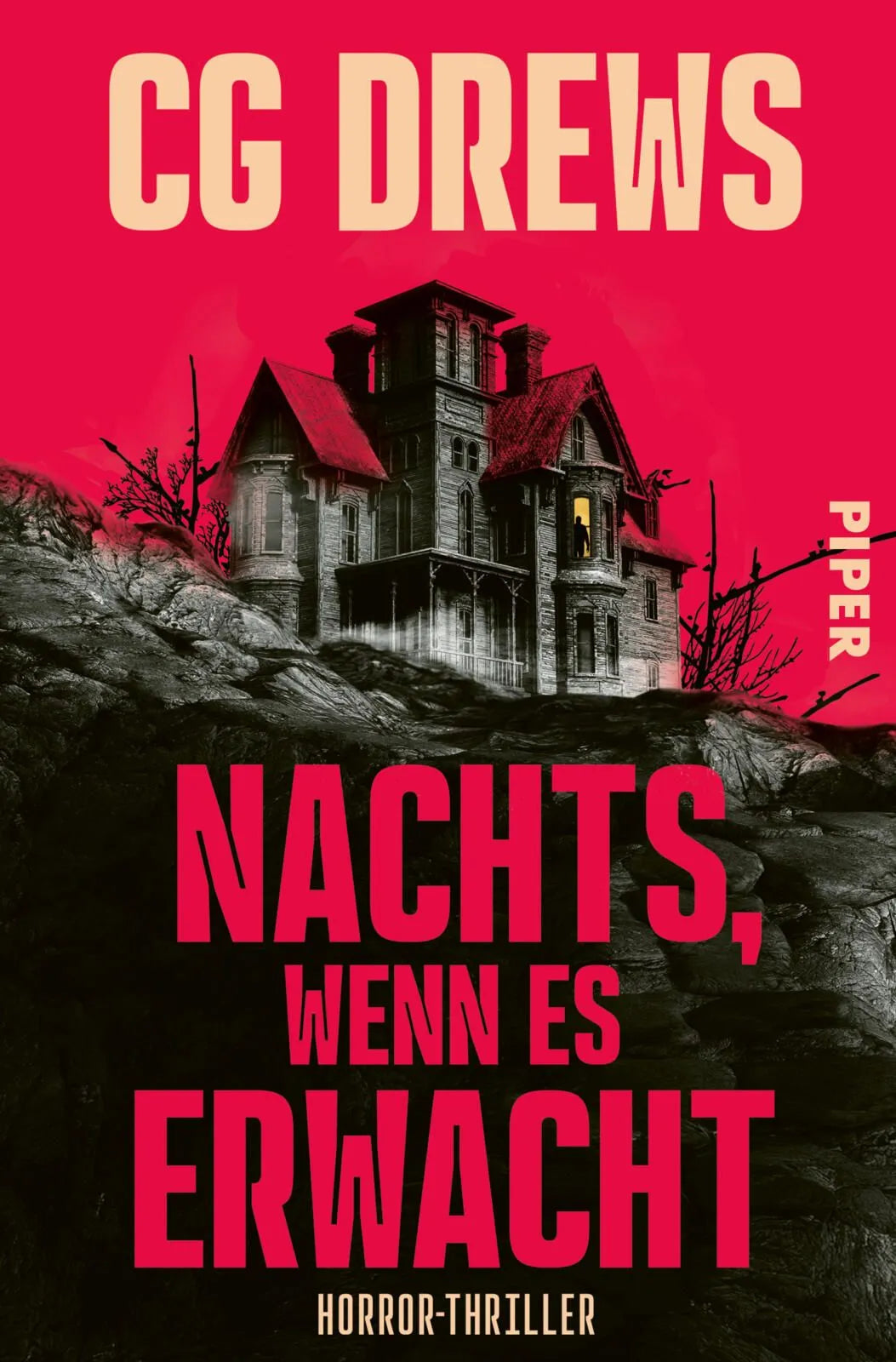 Cover: Nachts, wenn es erwacht (Paperback) von CG Drews