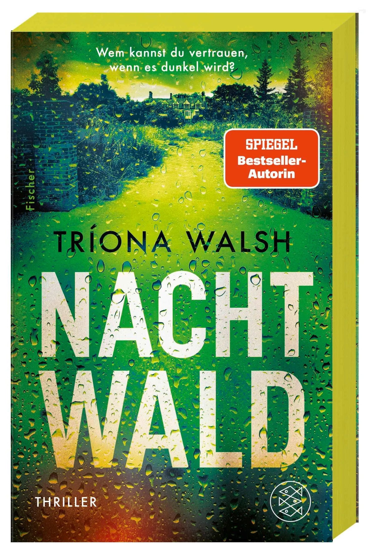 Cover: Nachtwald (Paperback) von Tríona Walsh