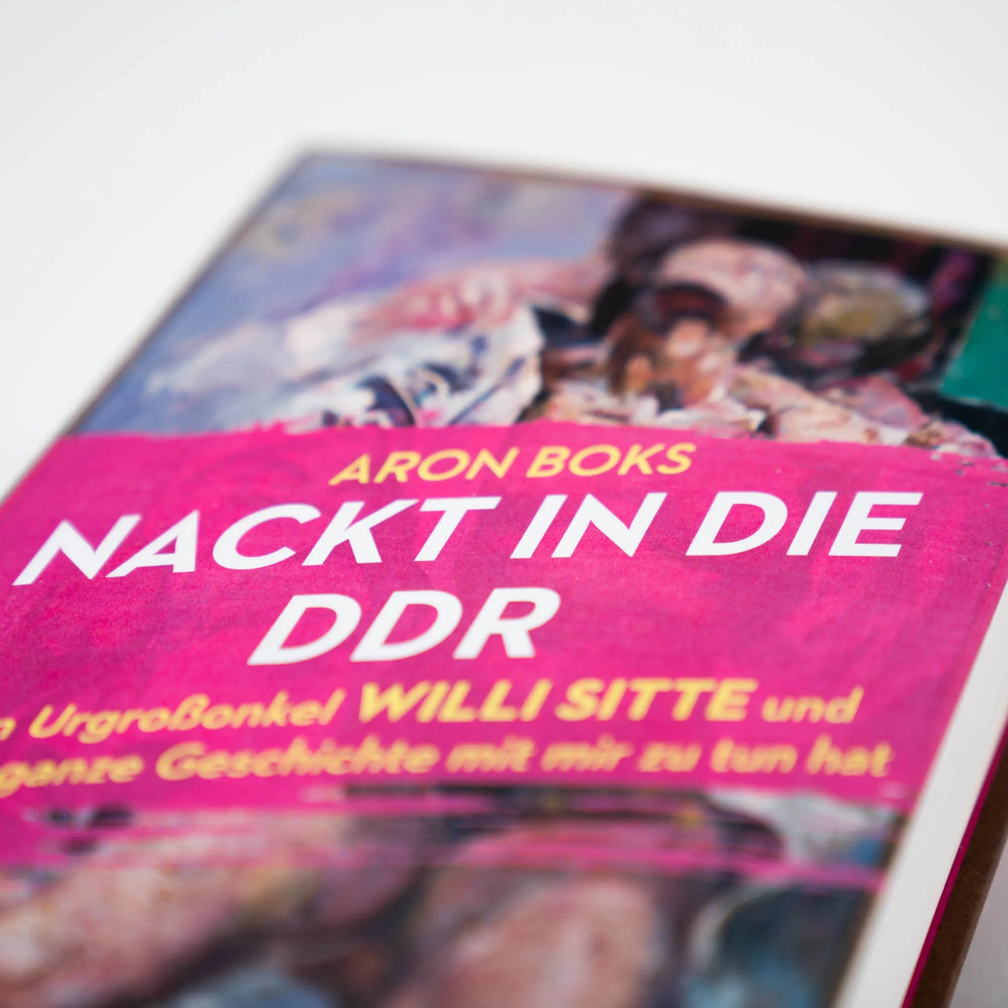 Abbildung von 'Nackt in die DDR. Mein Urgroßonkel Willi Sitte und was die ganze Geschichte mit mir zu tun hat'