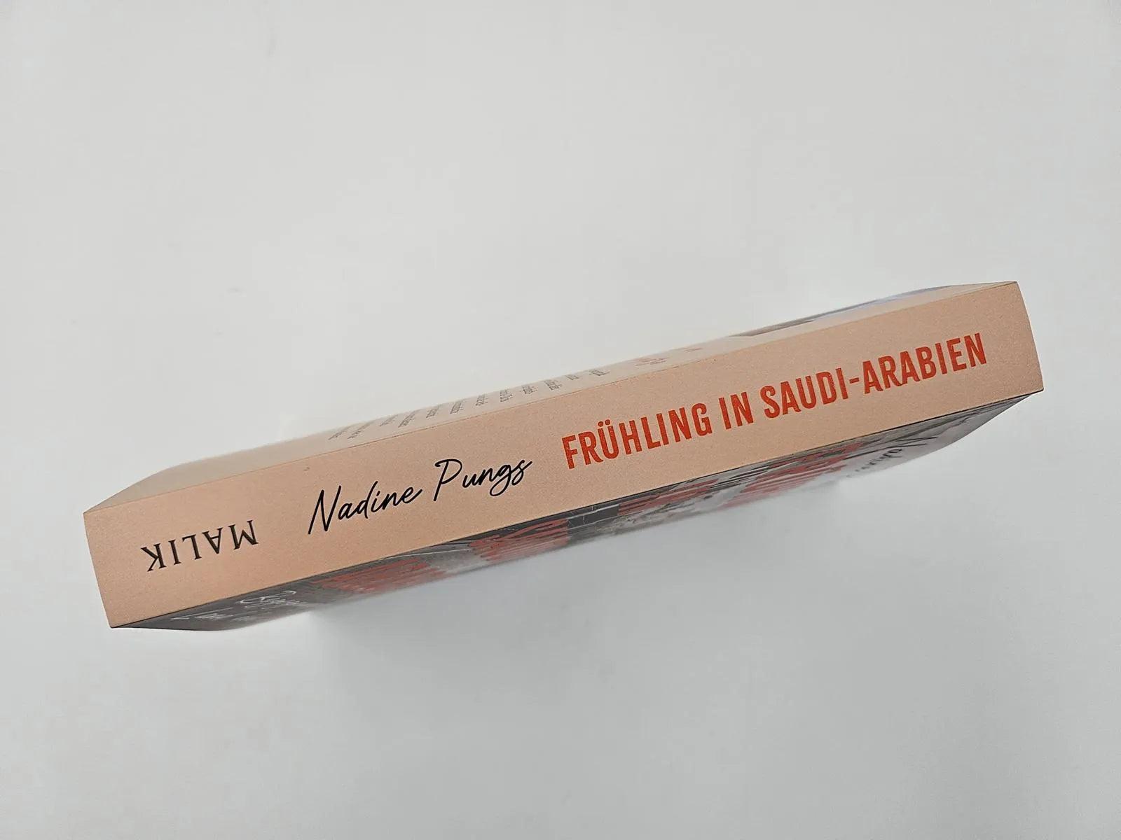 Produktansicht: Frühling in Saudi-Arabien (Paperback)