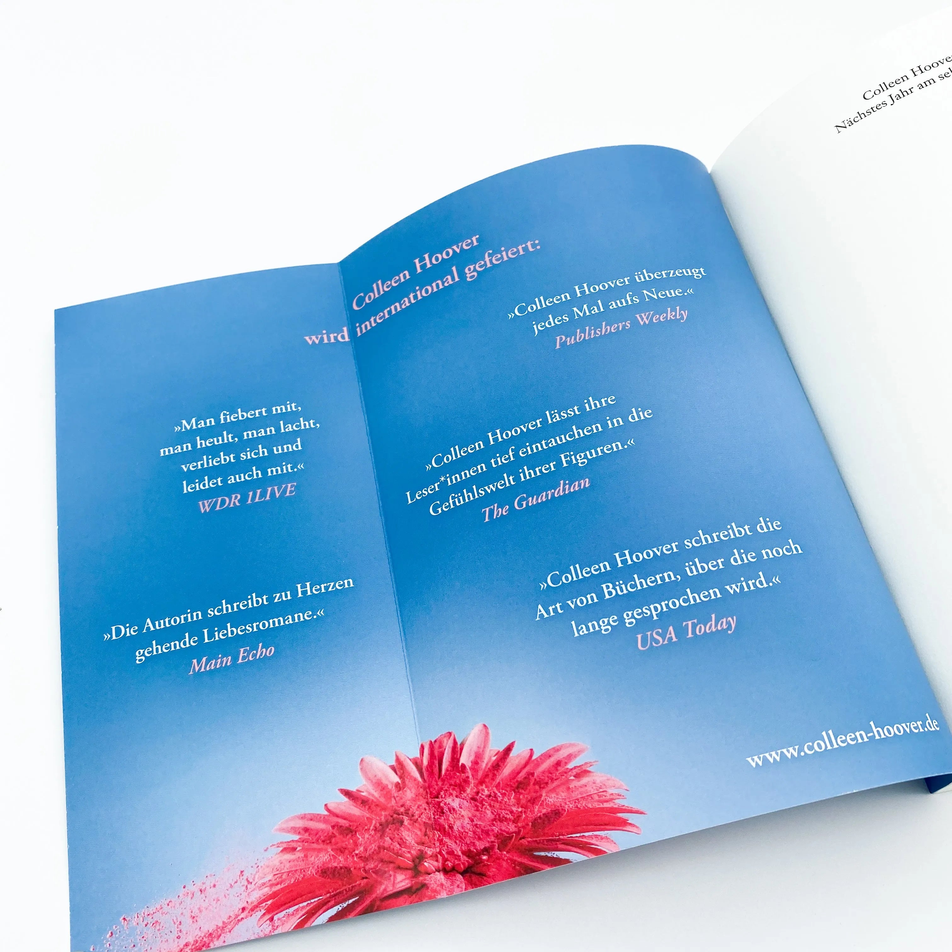 Detailansicht: Nächstes Jahr am selben Tag (Taschenbuch)